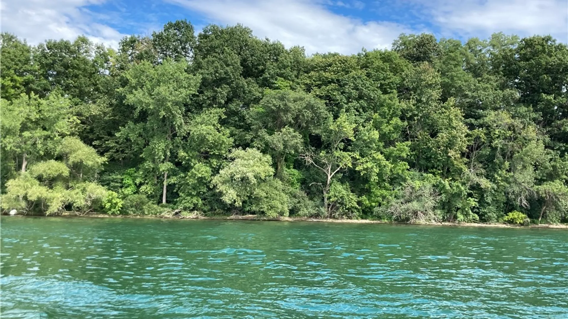 Property at 3625 State Route 90 Lot 4 & 4A&B, Ledyard, NY 13026 37