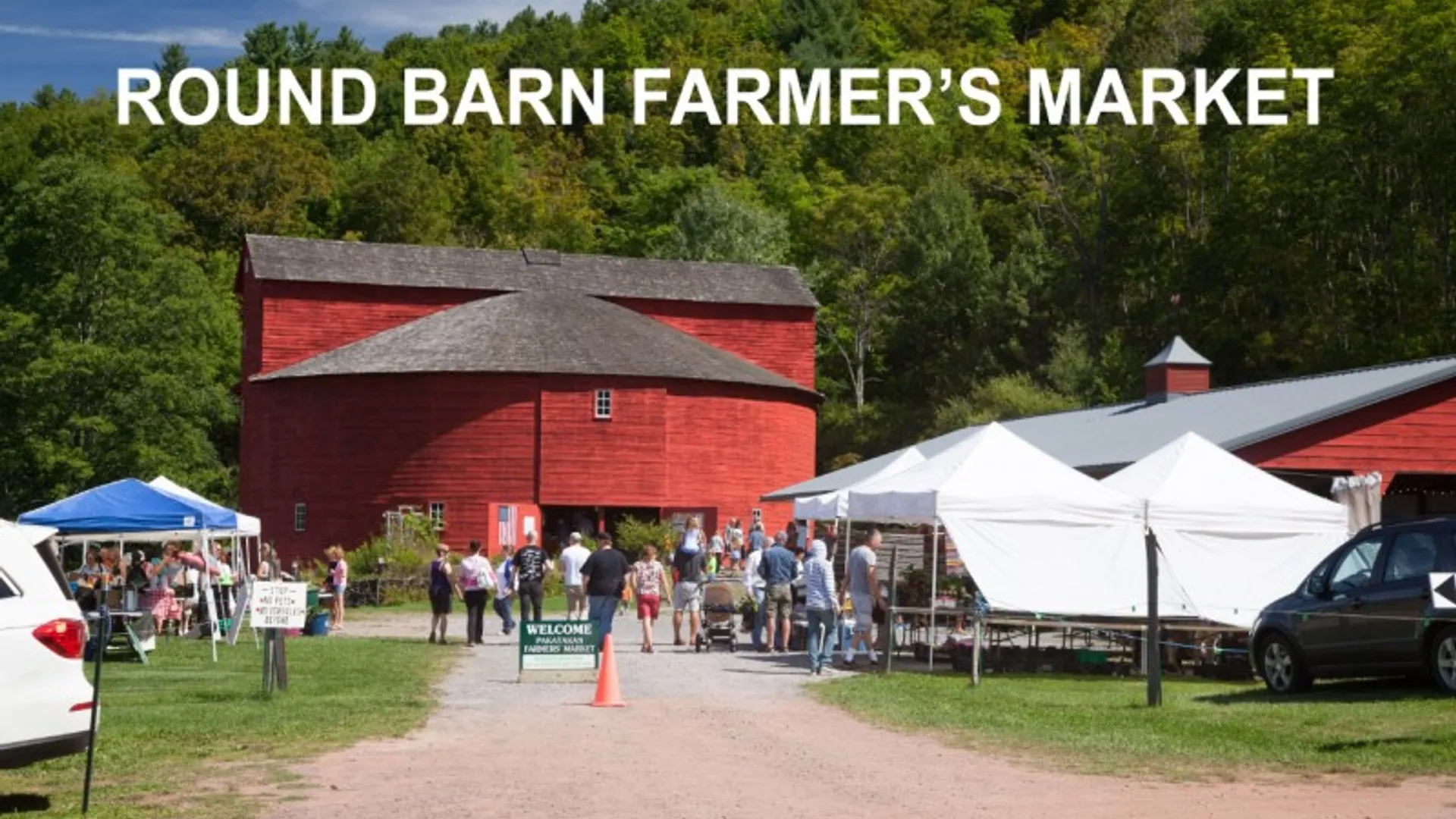 Property at 225 WOODLAND Drive, Roxbury, NY 12474 43