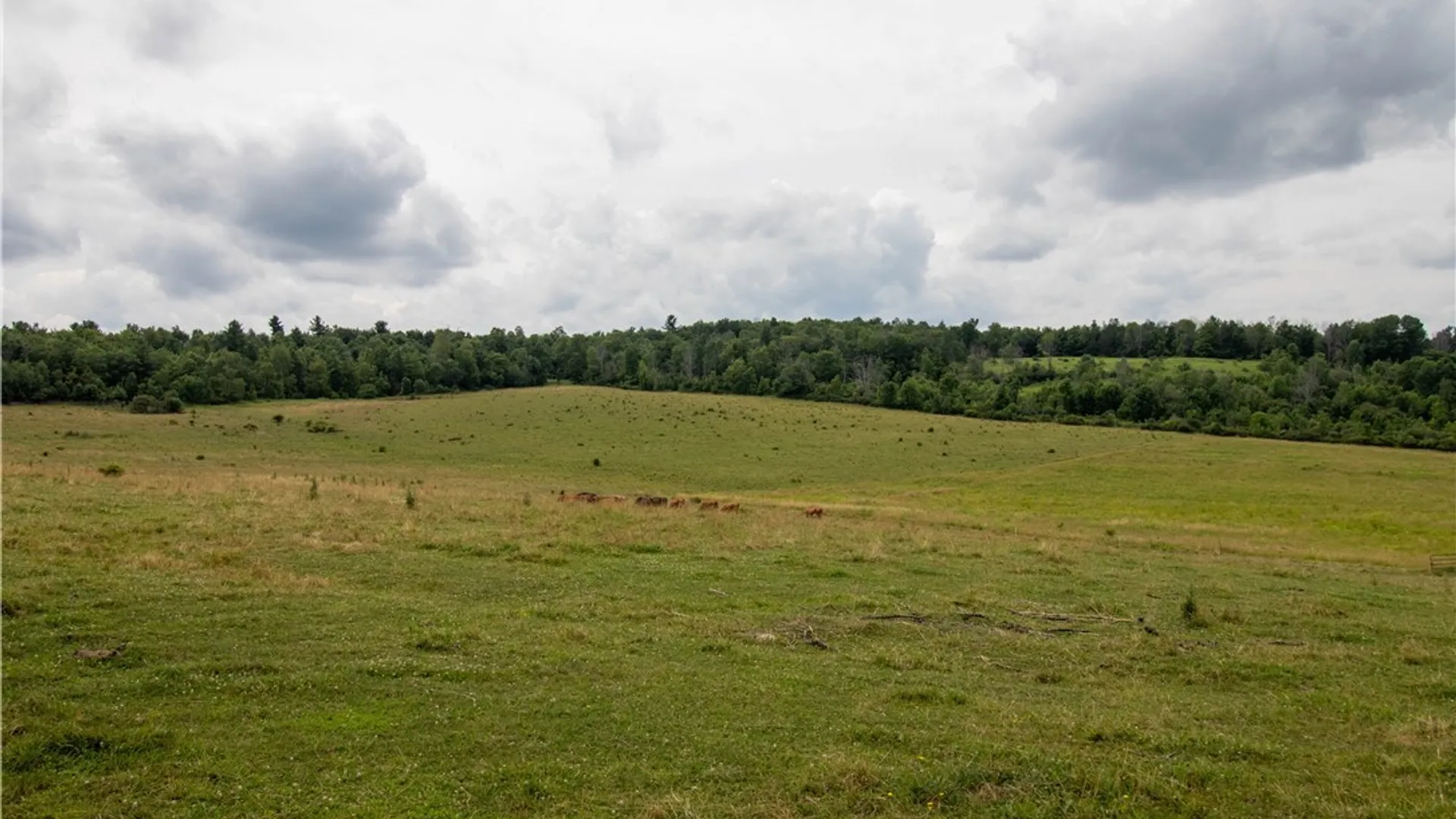 Property at 7444 County Route 112, Tuscarora, NY 14801 42
