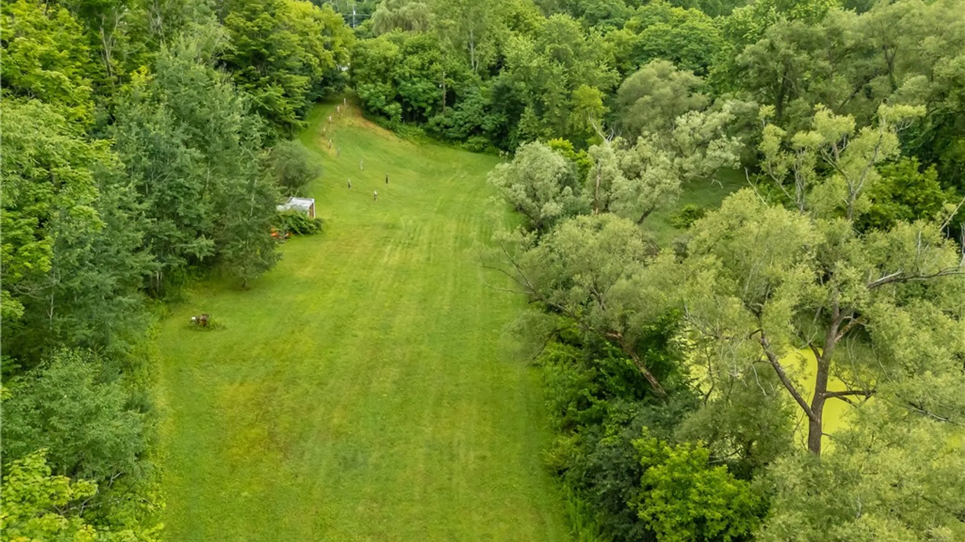 Property at 7974 State Route 19, Belfast, NY 14711 22