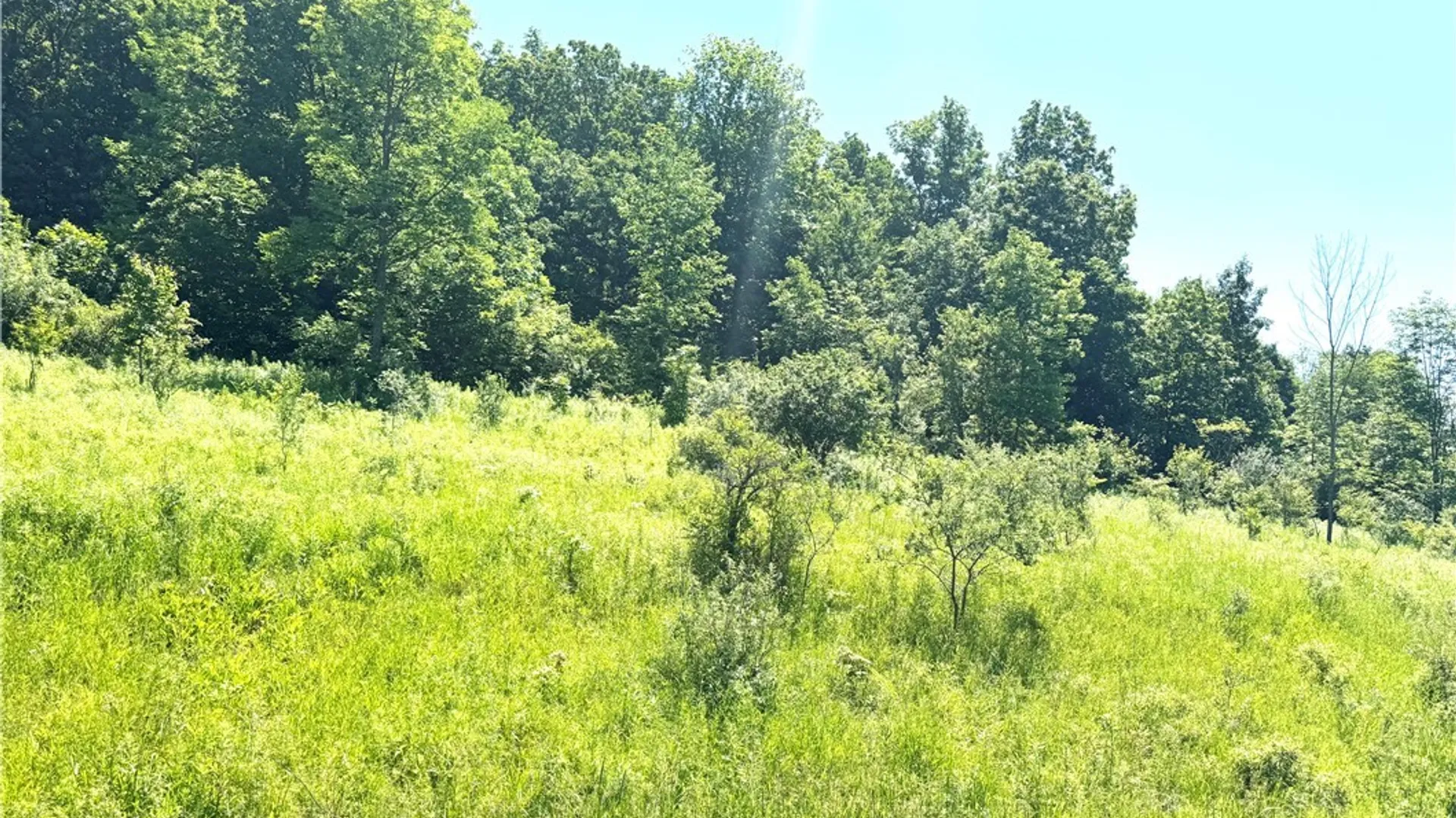 Property at Gile Hollow Road, Hinsdale, NY 14743 3