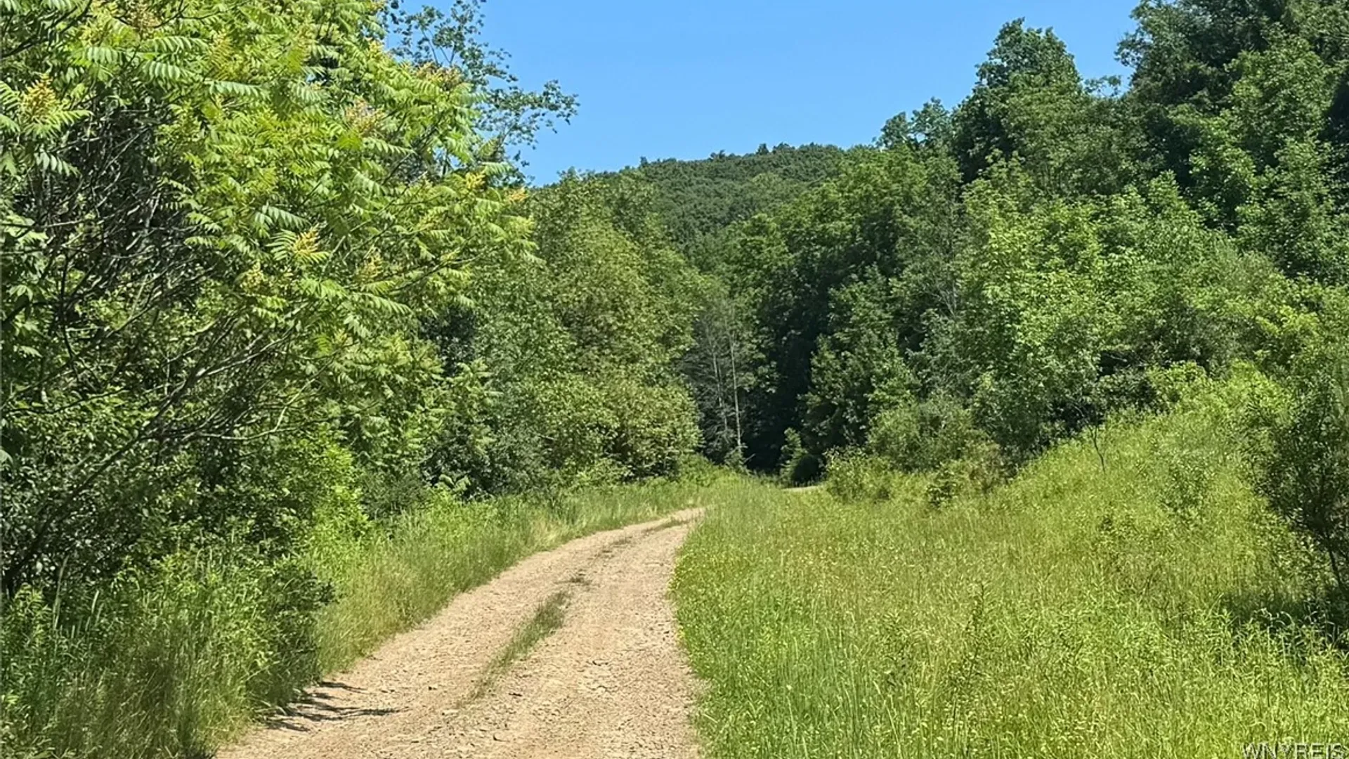 Property at Gile Hollow Road, Hinsdale, NY 14743 4