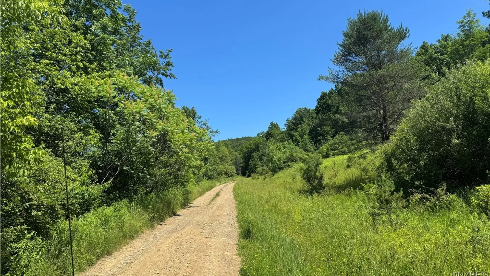 Property at Gile Hollow Road, Hinsdale, NY 14743 5