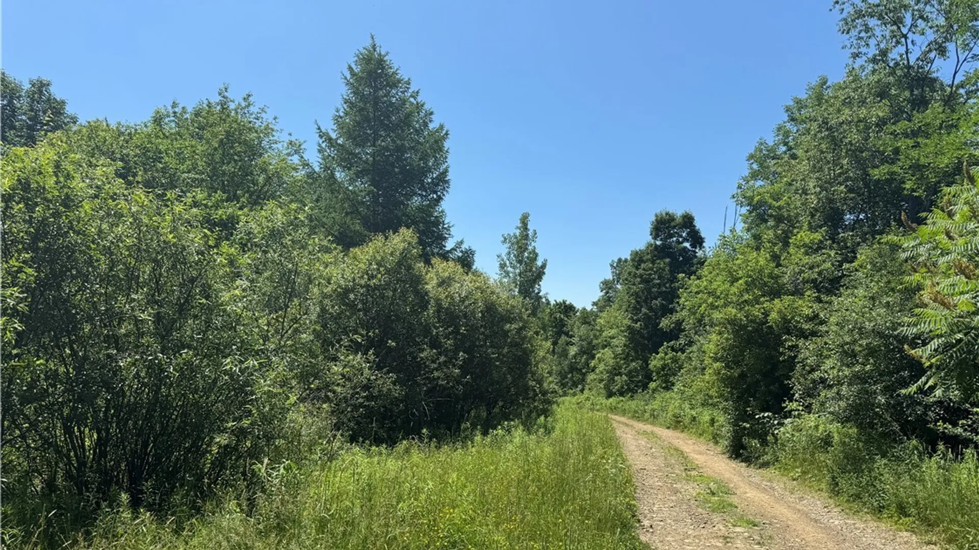 Property at Gile Hollow Road, Hinsdale, NY 14743 6
