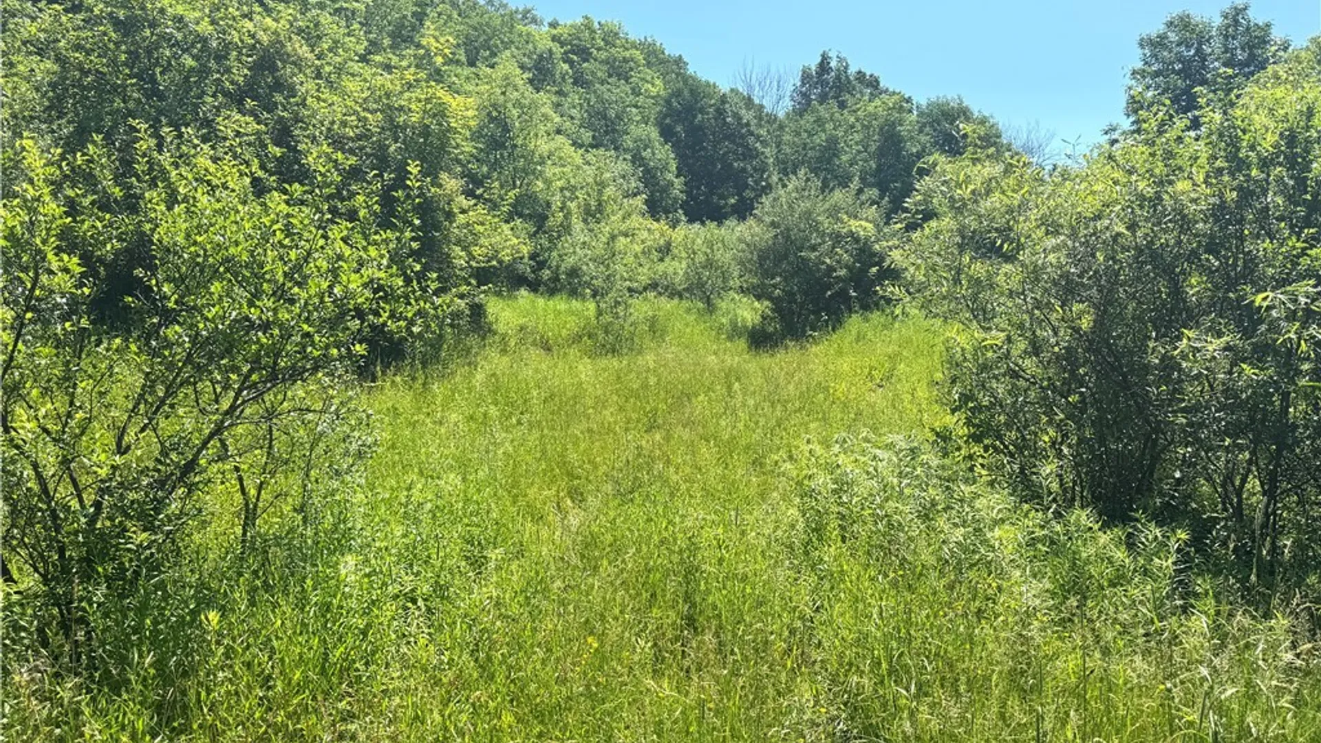 Property at Gile Hollow Road, Hinsdale, NY 14743 8