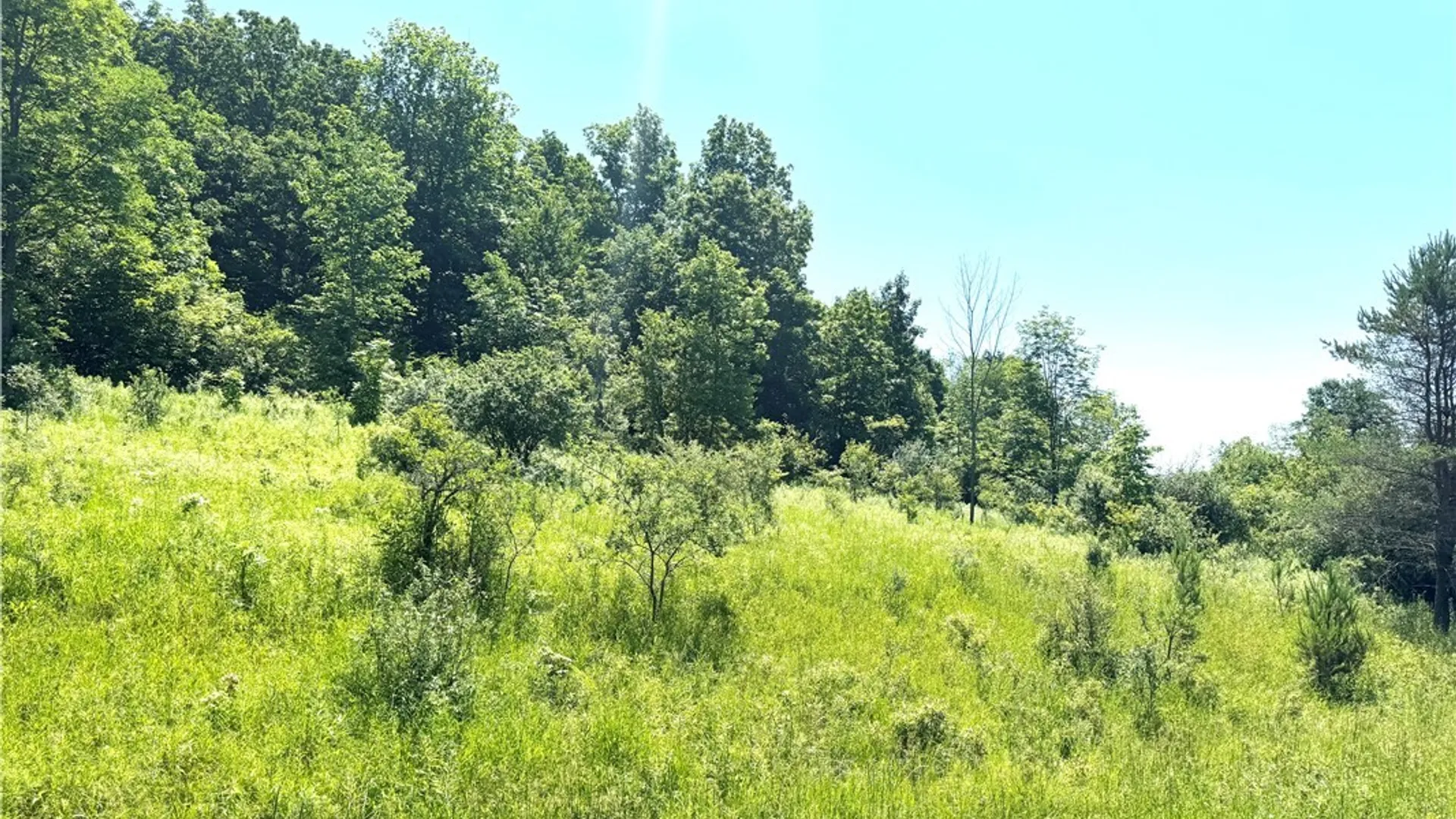 Property at Gile Hollow Road, Hinsdale, NY 14743 9