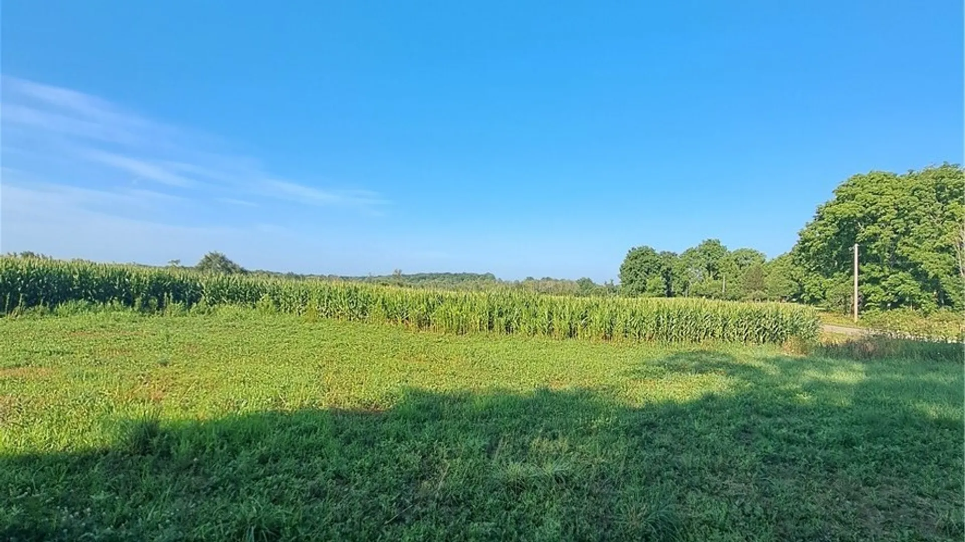 Property at 9697 Clark Road, Ellisburg, NY 13636 22