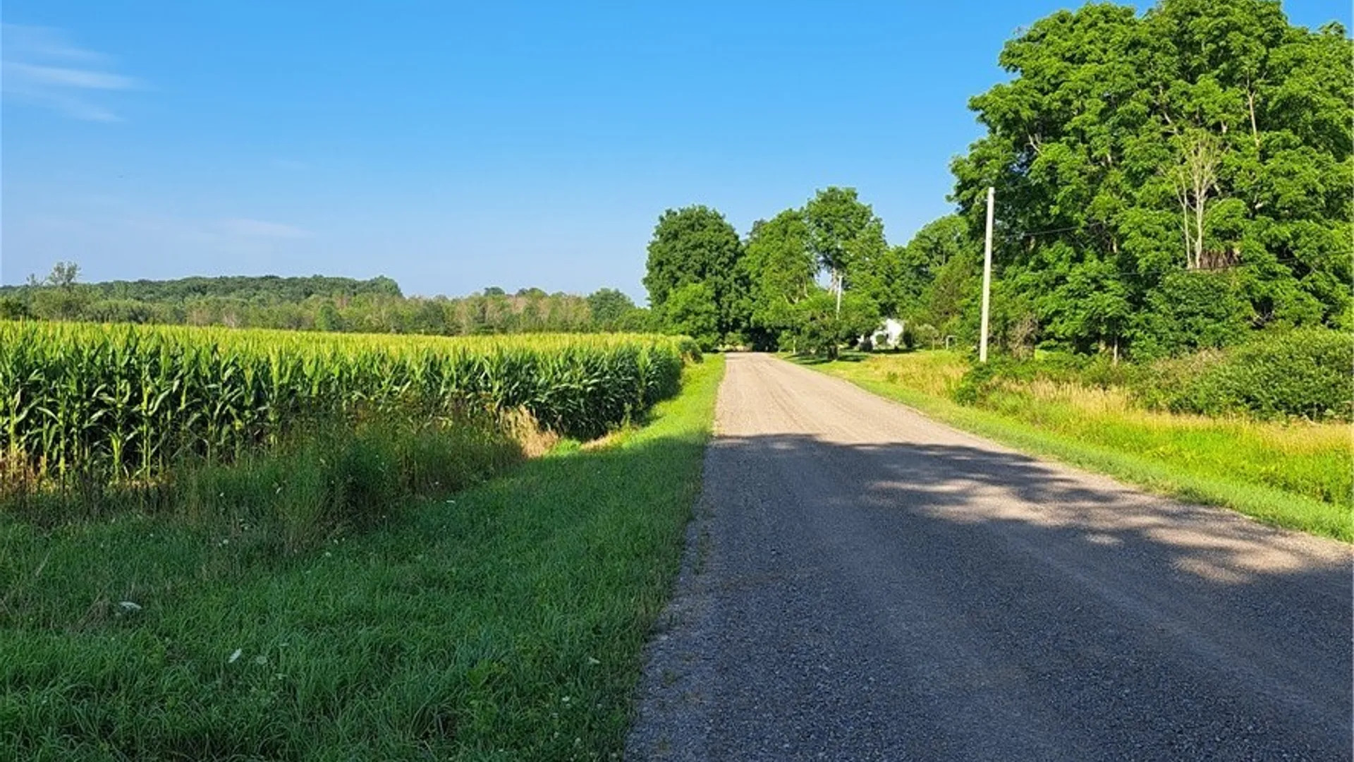 Property at 9697 Clark Road, Ellisburg, NY 13636 23