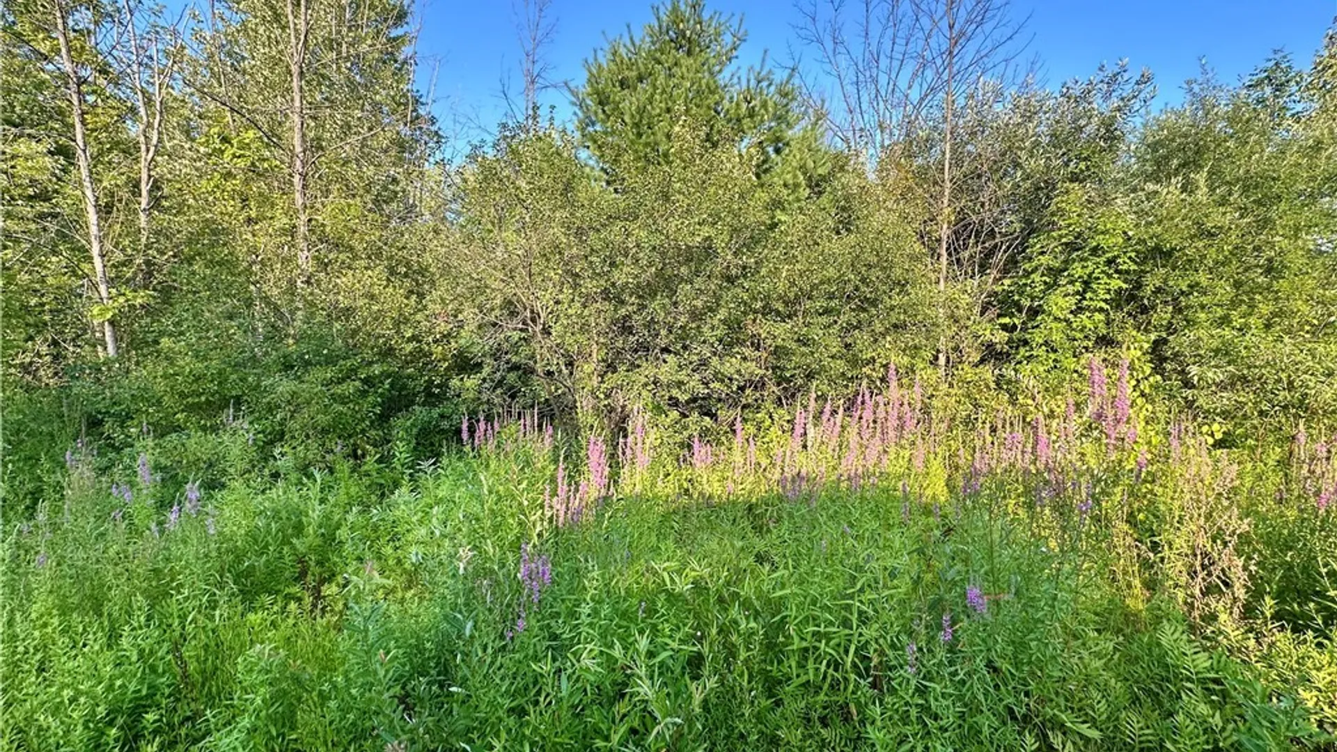 Property at Lower Lawrence Street, Westmoreland, NY 13440 2