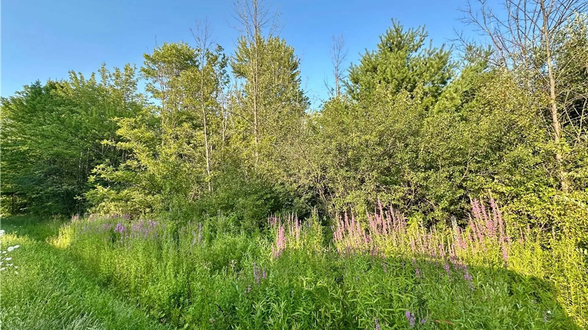 Property at Lower Lawrence Street, Westmoreland, NY 13440 6