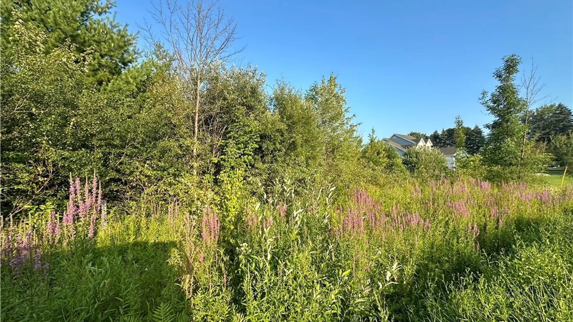 Property at Lower Lawrence Street, Westmoreland, NY 13440 7