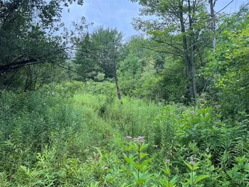 Property at 10750 Chapple Stoughton Road, Napoli, NY 14772