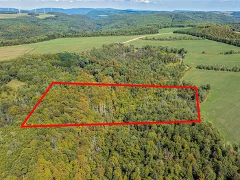 Property at 10373 Lookout, Prattsburgh, NY 14873