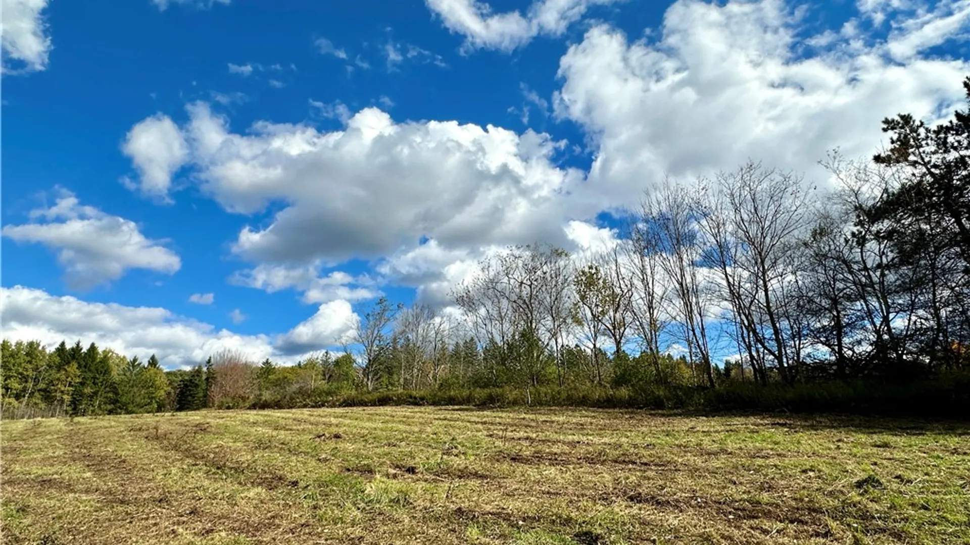 Property at 0 Jackson Hill Road, Meredith, NY 13846 11