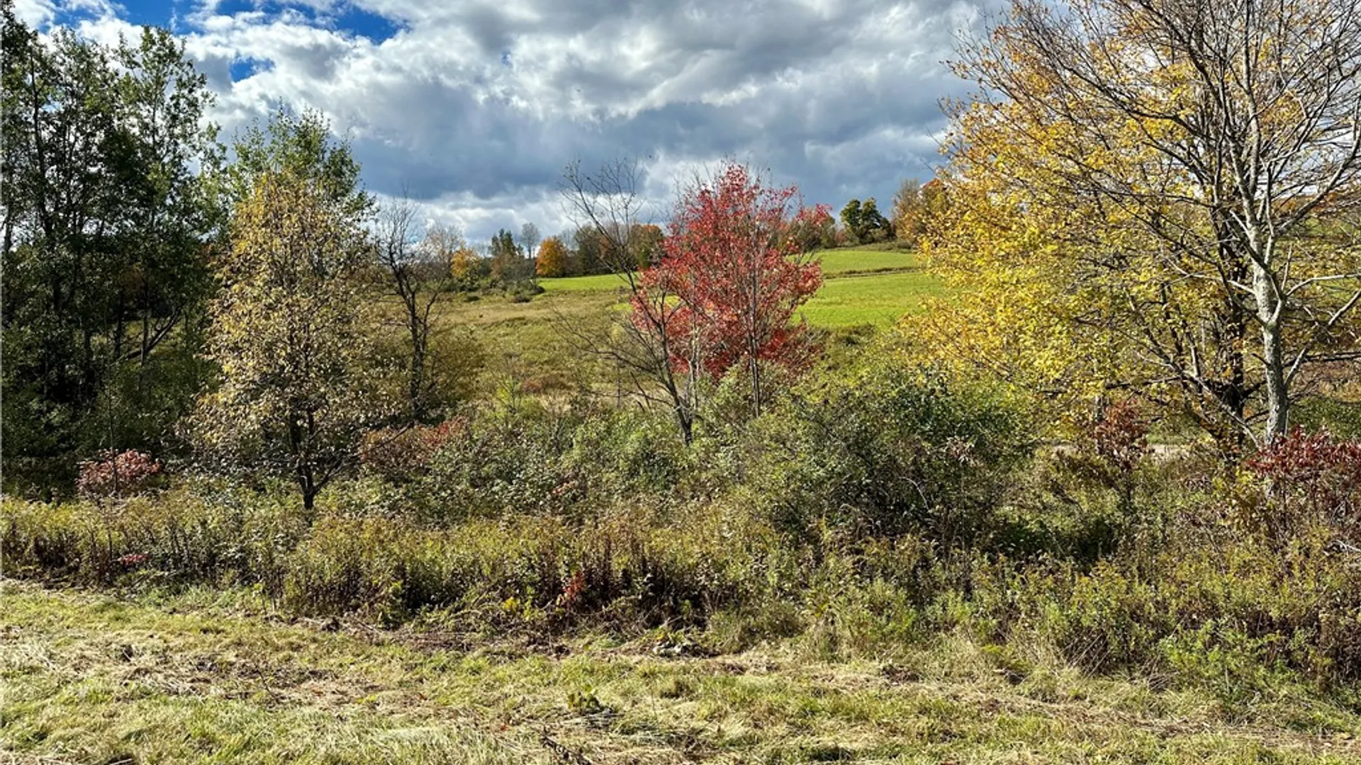 Property at 0 Jackson Hill Road, Meredith, NY 13846 12