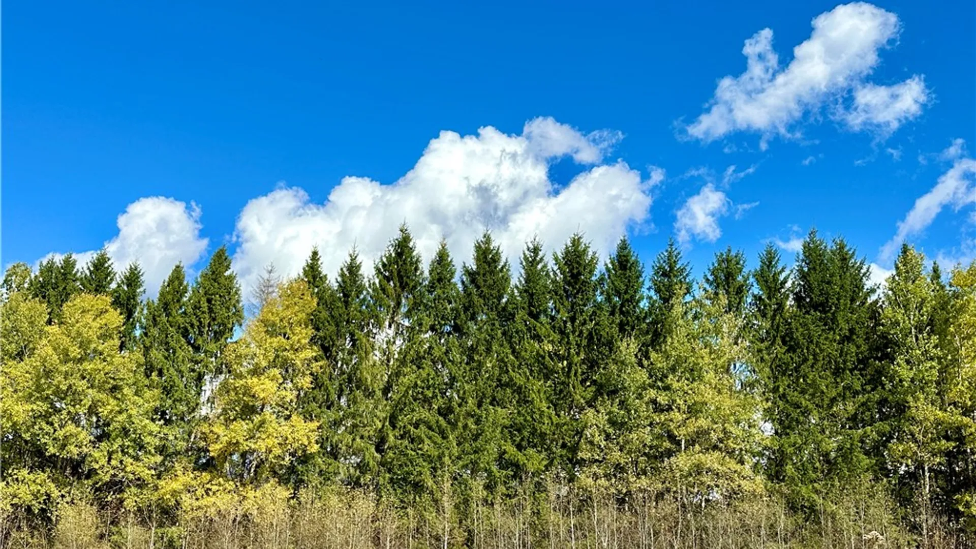 Property at 0 Jackson Hill Road, Meredith, NY 13846 13