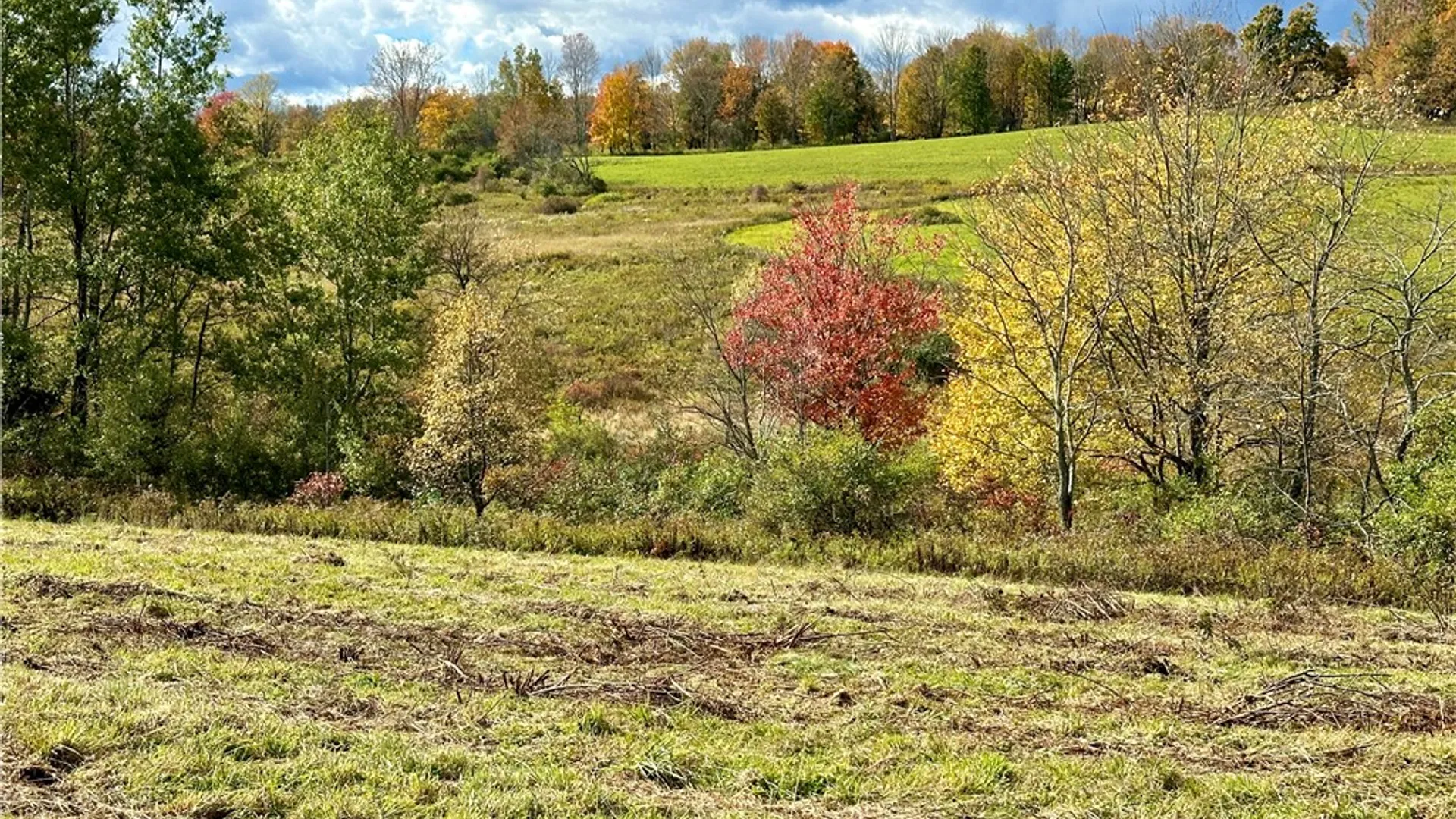 Property at 0 Jackson Hill Road, Meredith, NY 13846 8