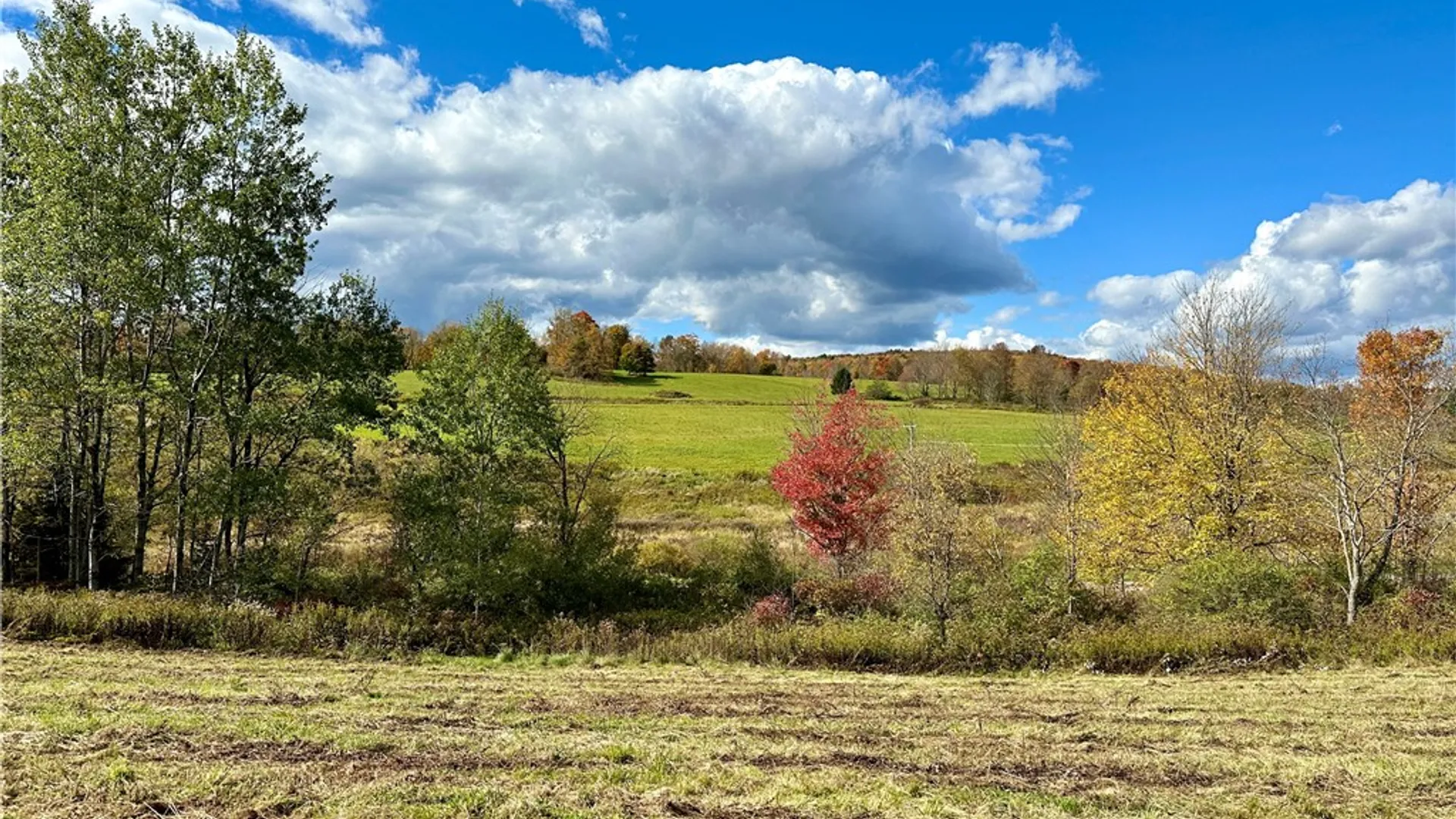 Property at 0 Jackson Hill Road, Meredith, NY 13846 9