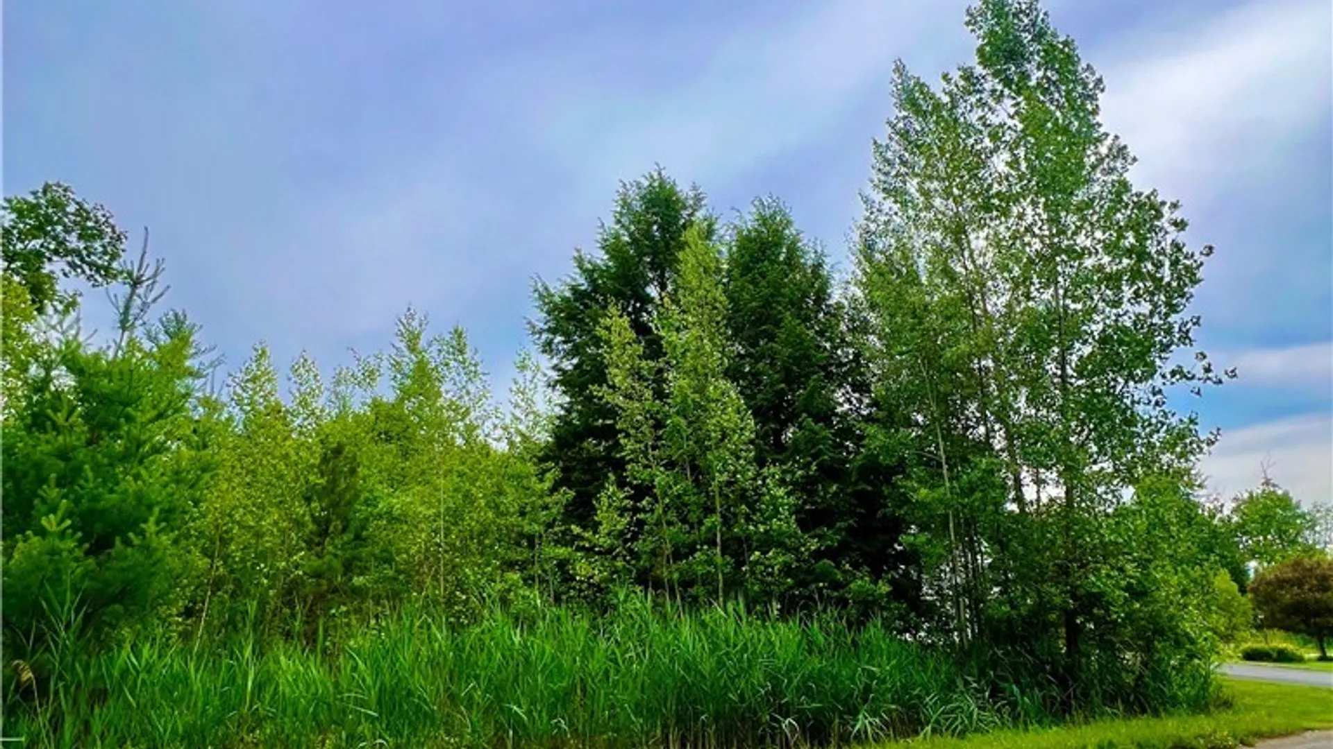 Property at Lot 7 Forest Ridge Drive, Rome, NY 13440 2