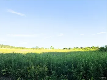 Tassell Hill Road, Marshall, NY 13328