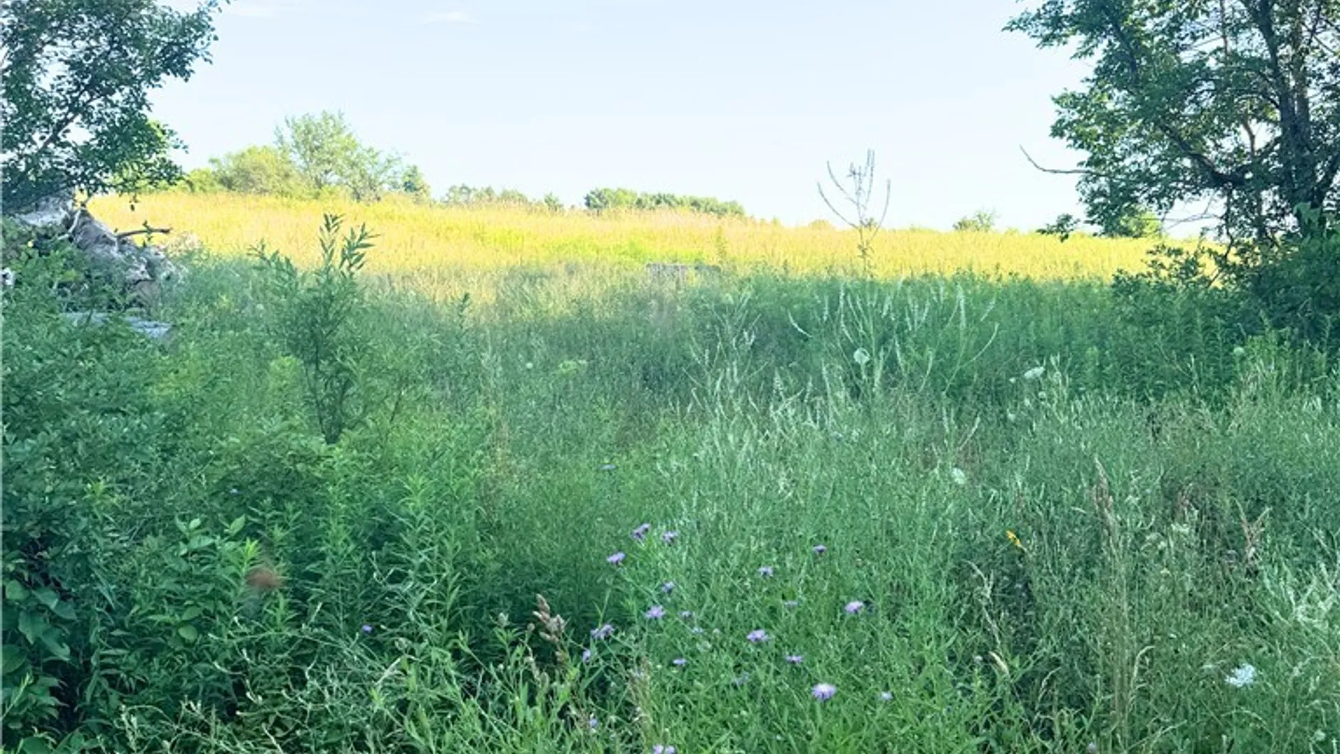 Property at Tassell Hill Road, Marshall, NY 13328 3