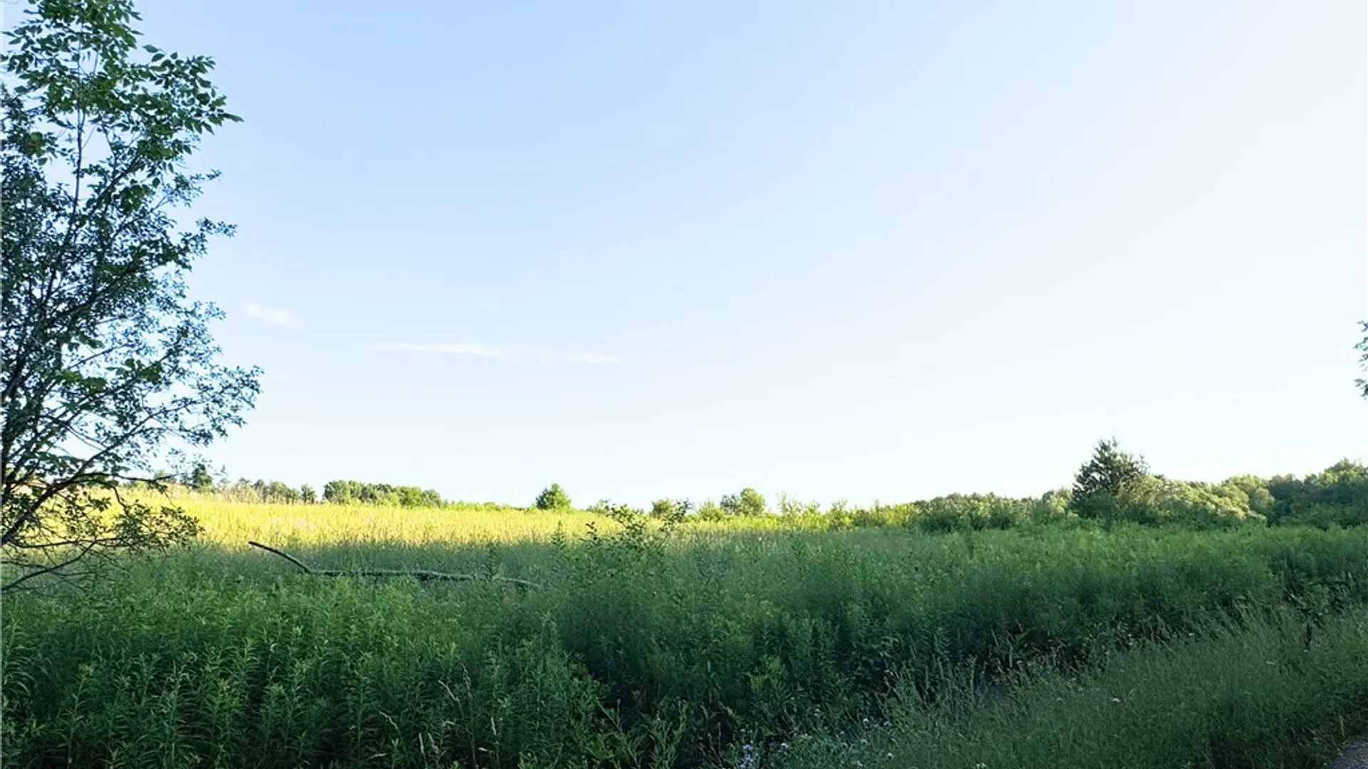 Property at Tassell Hill Road, Marshall, NY 13328 4