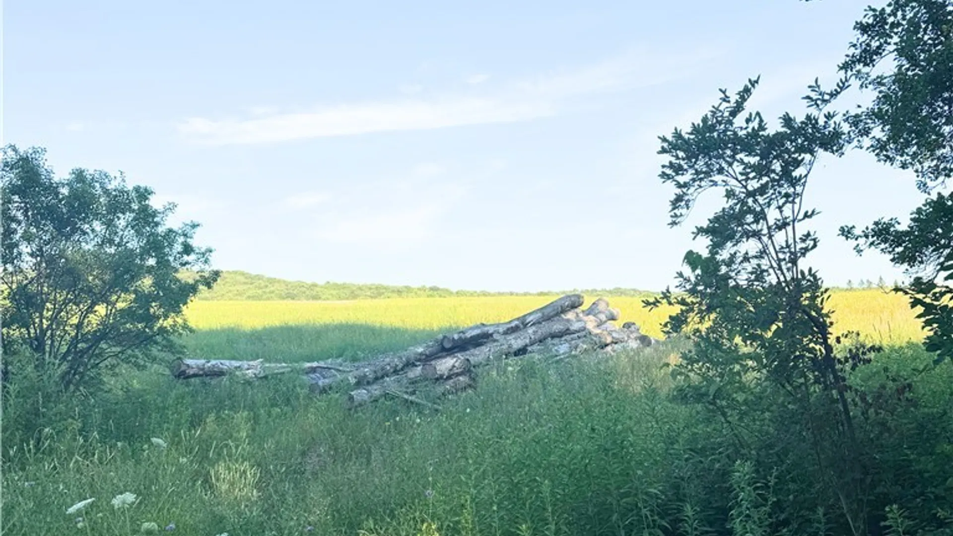 Property at Tassell Hill Road, Marshall, NY 13328 5