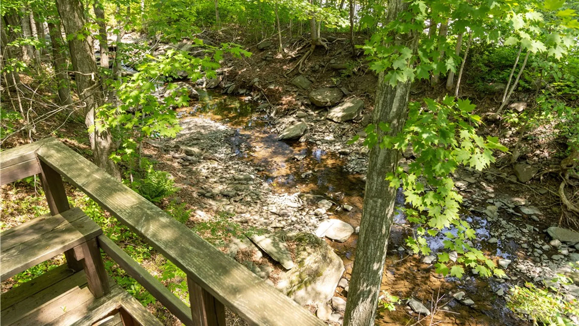 Property at 20 Hidden Waters Drive, Middletown, NY 12455 36