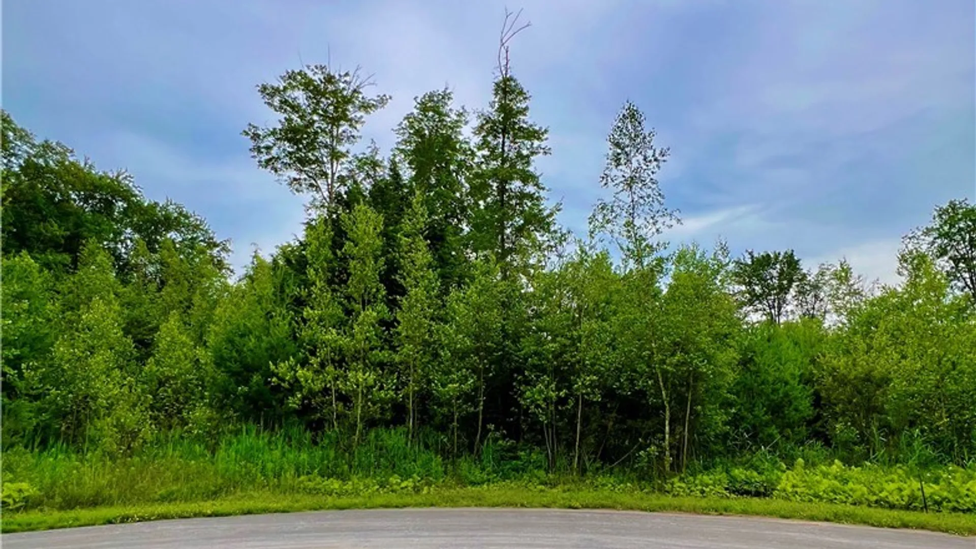 Property at Lot 9 Forest Ridge Drive, Rome, NY 13440 2