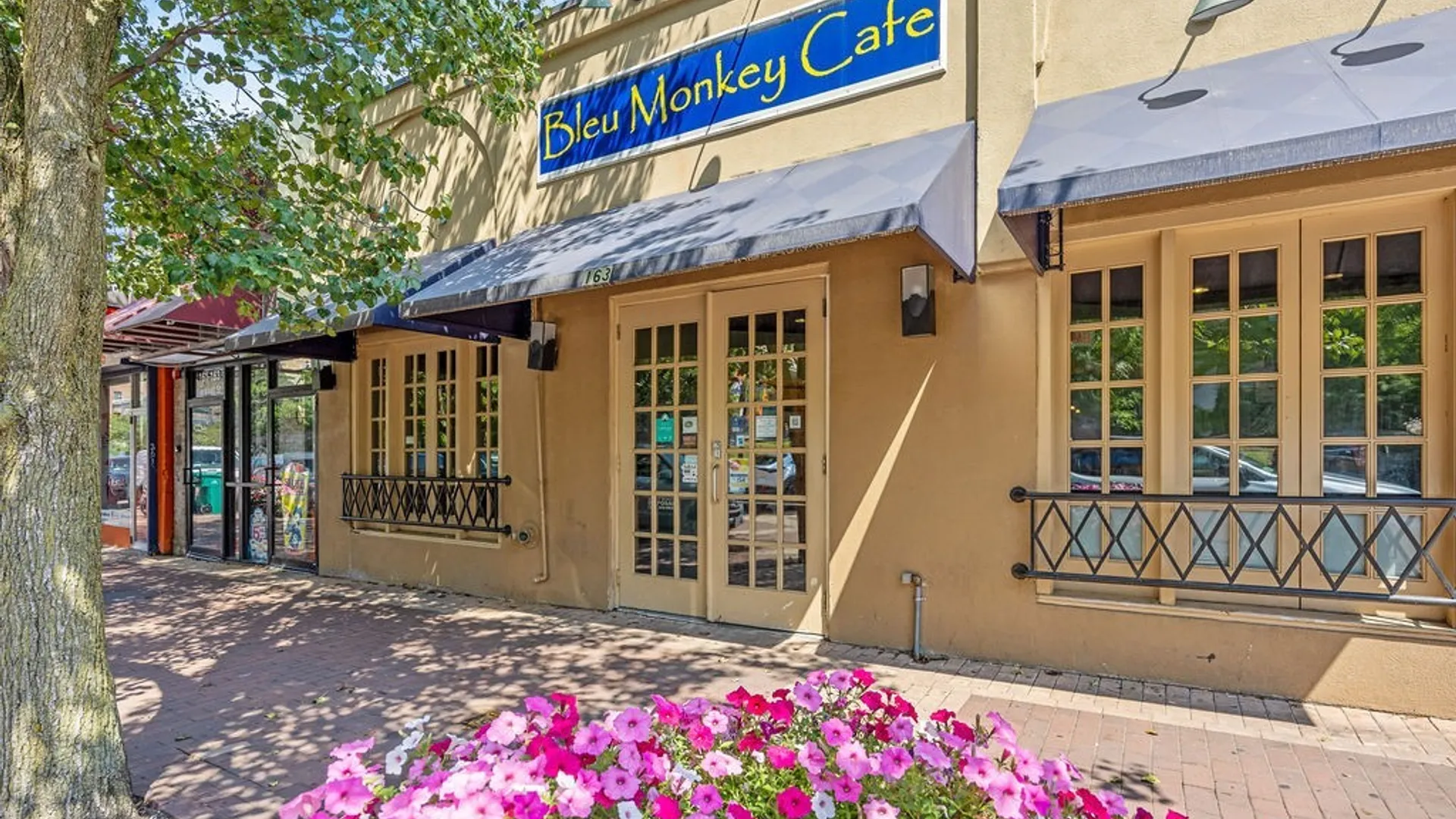 Property at 163 Marshall Street, Syracuse, NY 13210 2