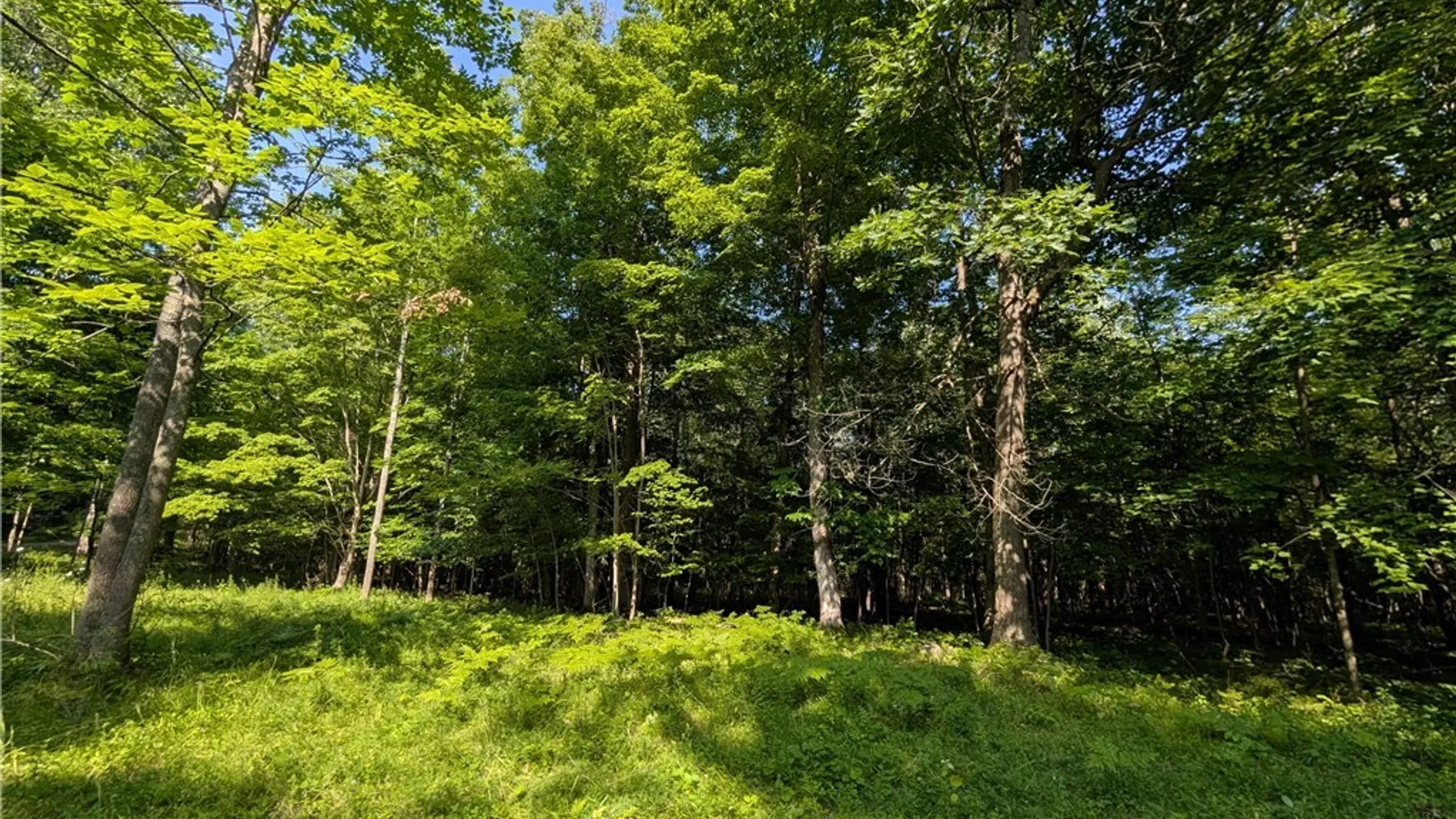 Property at 40790 Head Island Road, Clayton, NY 13624 47