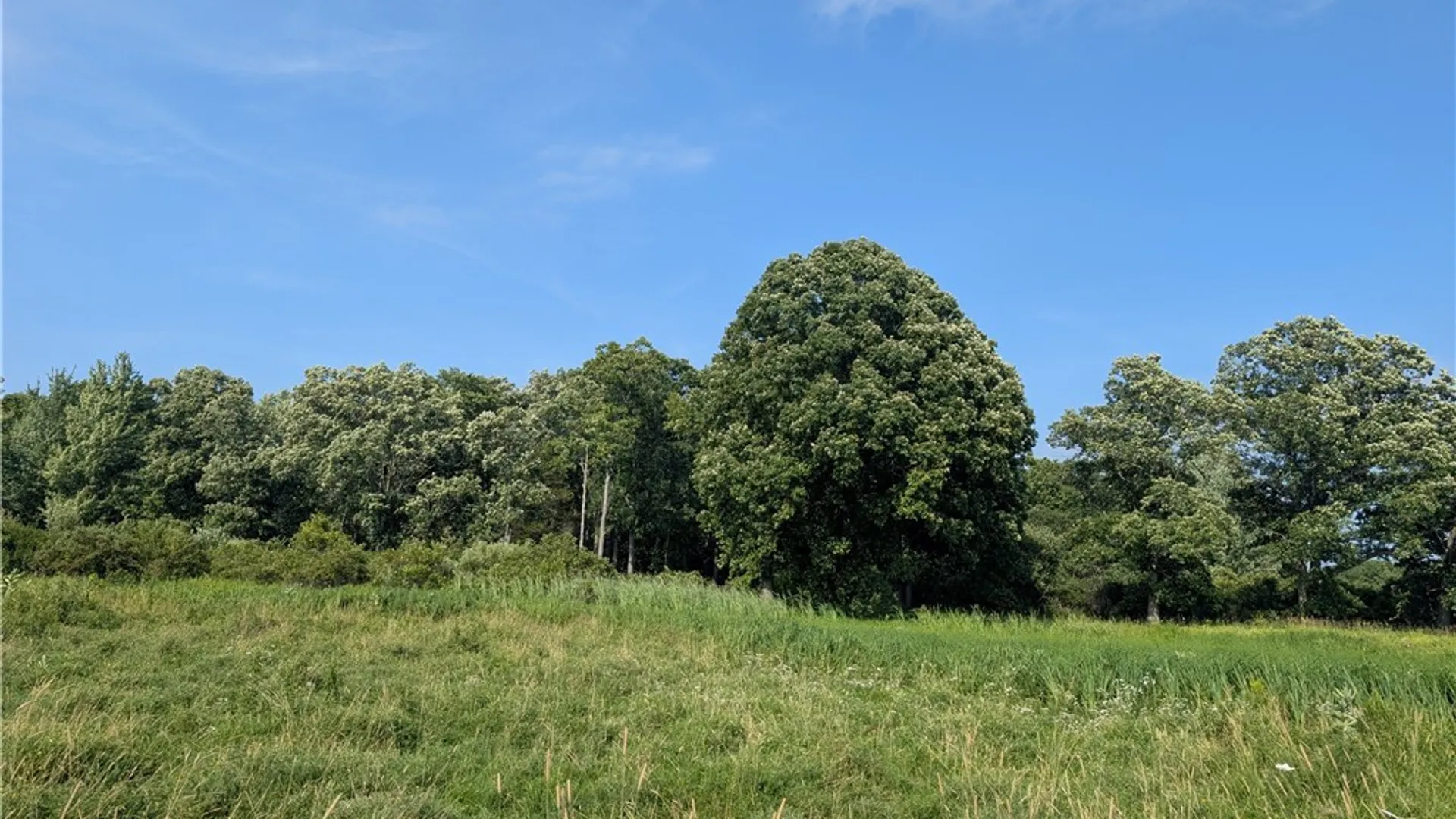 Property at 40790 Head Island Road, Clayton, NY 13624 48