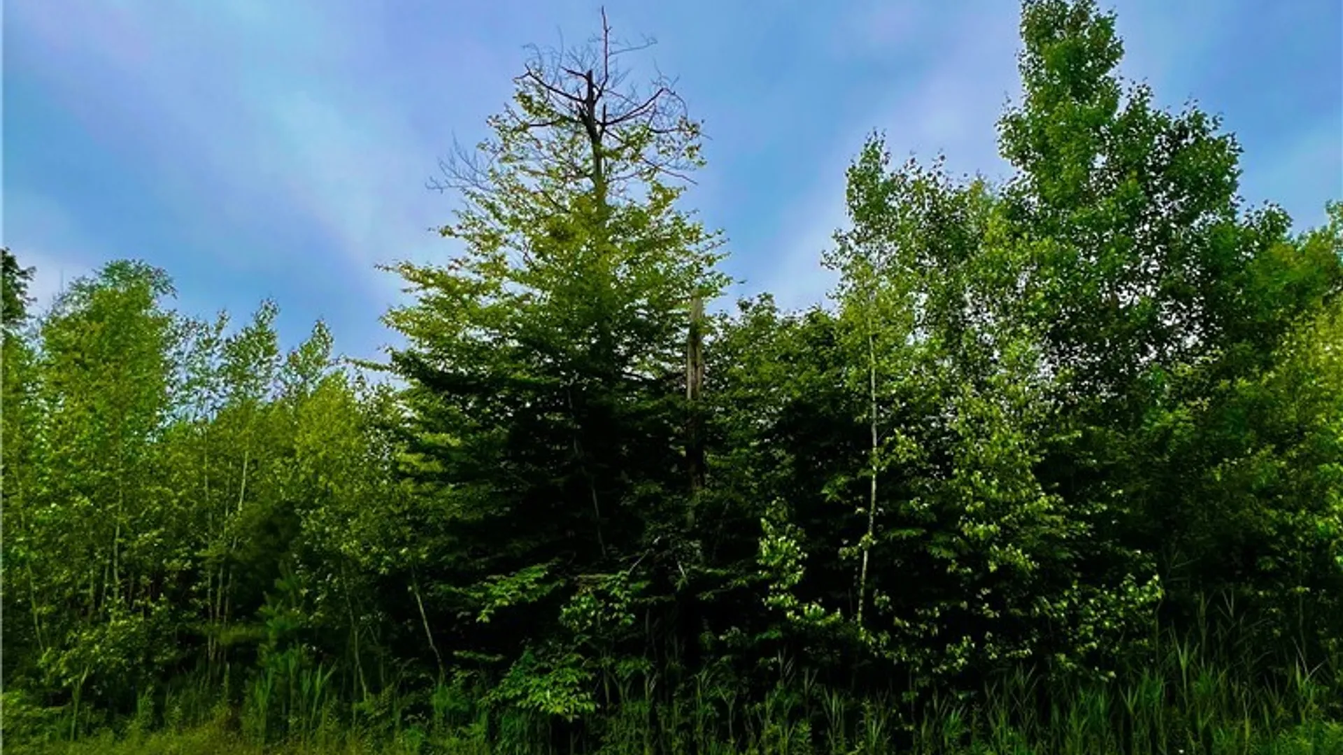 Property at Lot 15 Forest Ridge Drive, Rome, NY 13440 2