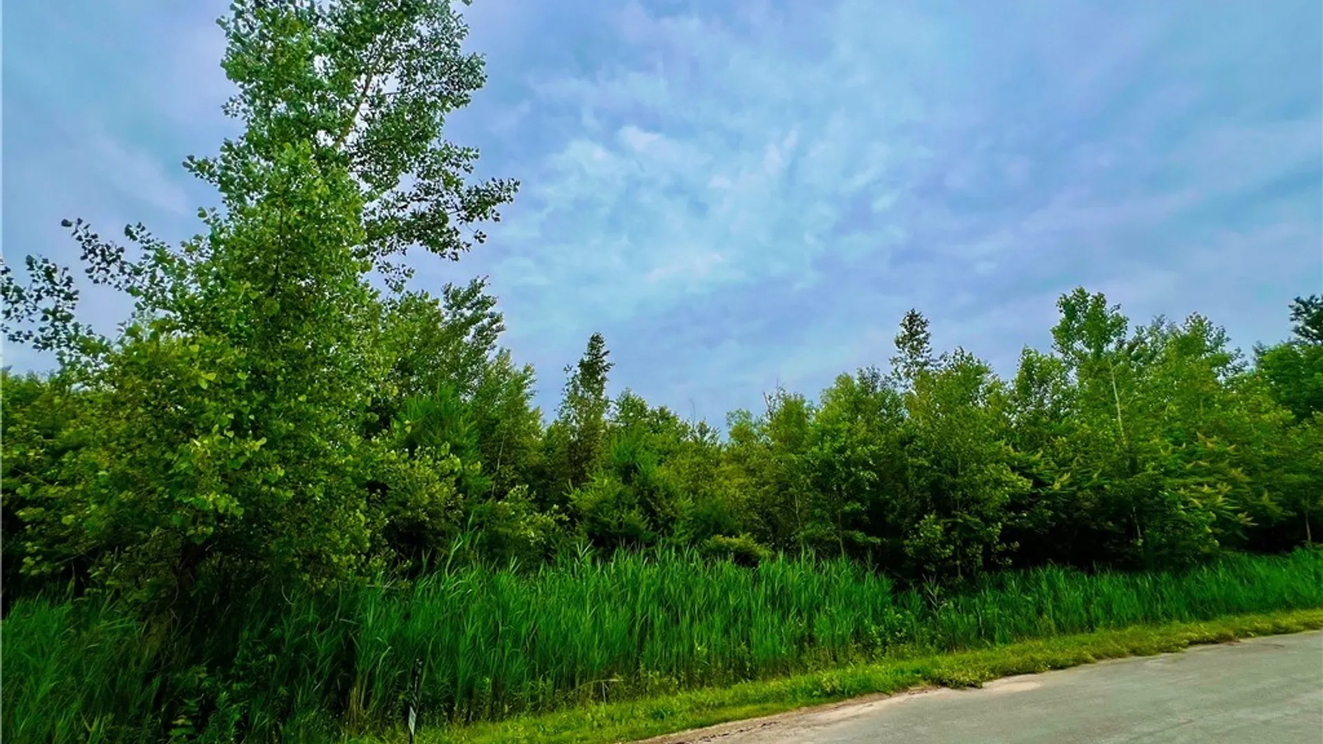 Property at Lot 16 Forest Ridge Drive, Rome, NY 13440 2