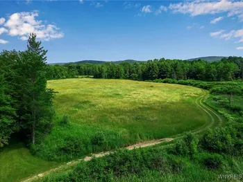 Property at 0 Toad Hollow Road, Mansfield, NY 14755