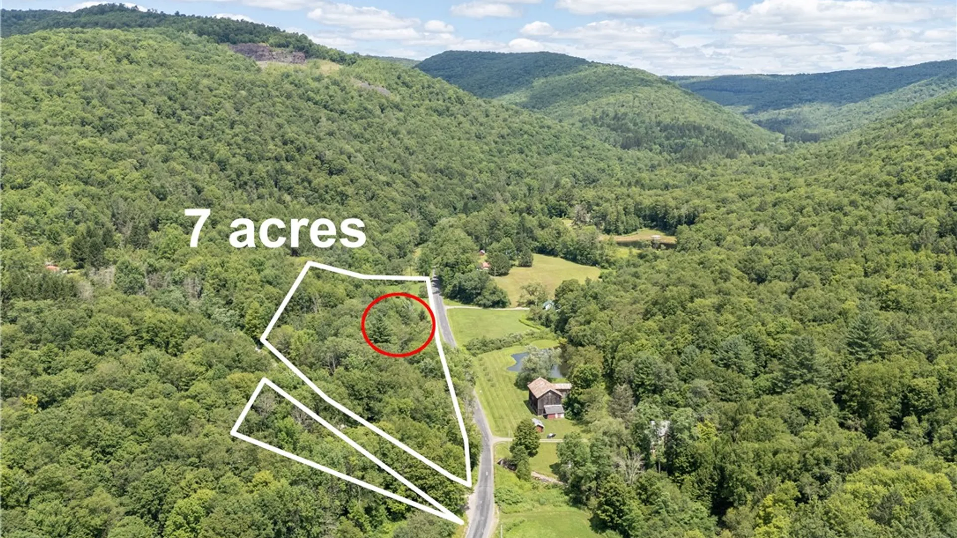 Property at 1849 Trout Brook Road, Colchester, NY 13755 14