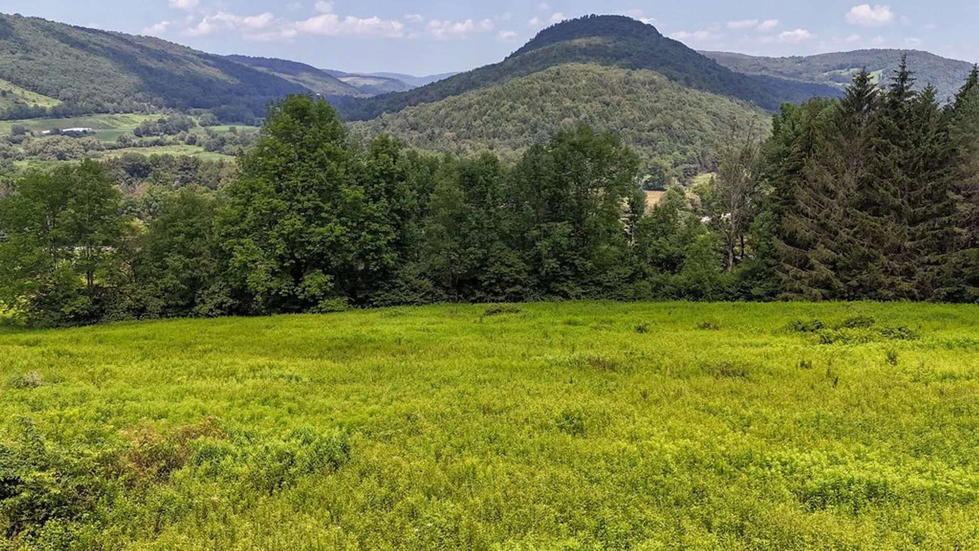 Property at 1278 County Highway 18, Delhi, NY 13753 7