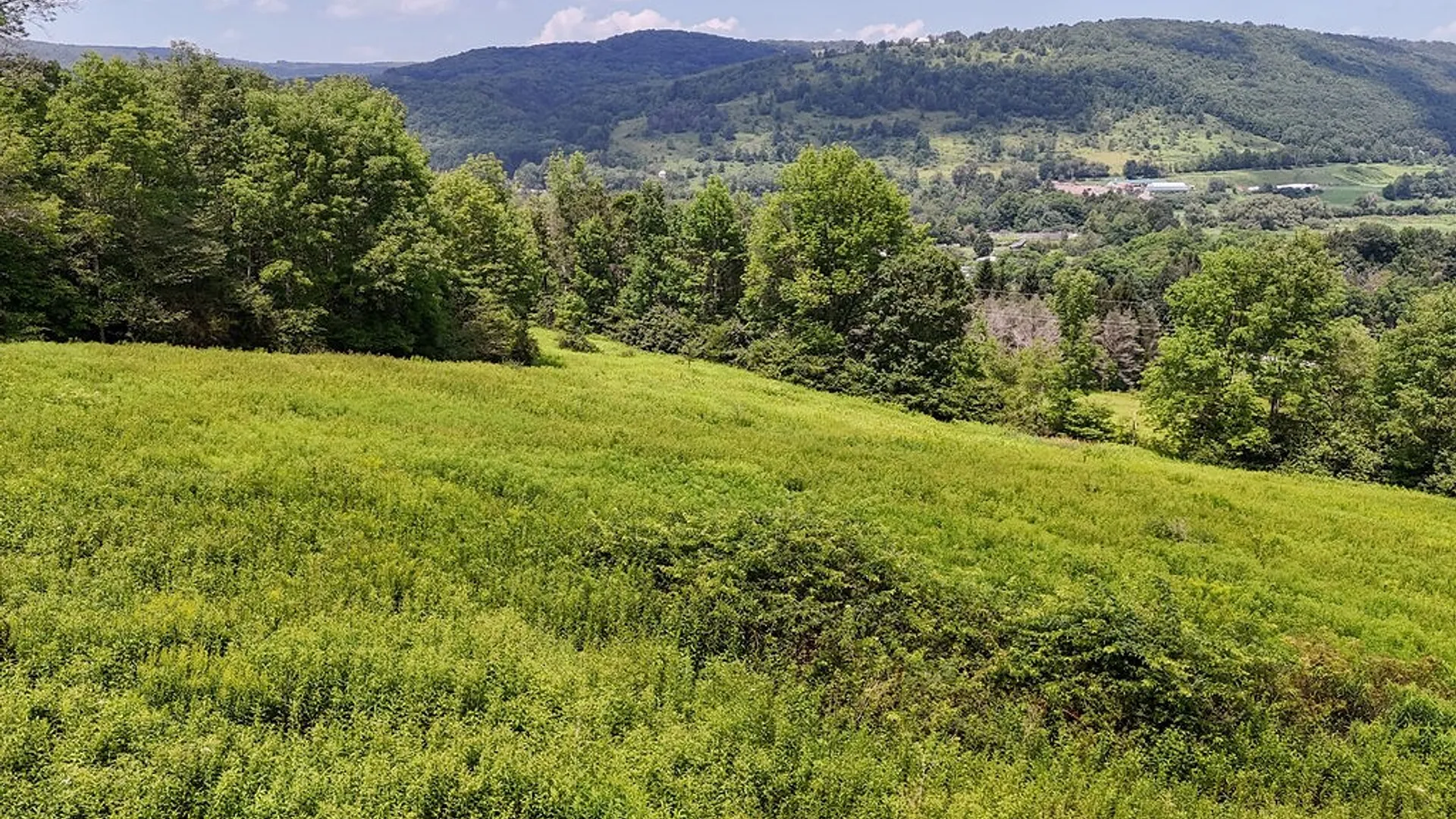 Property at 1278 County Highway 18, Delhi, NY 13753 8