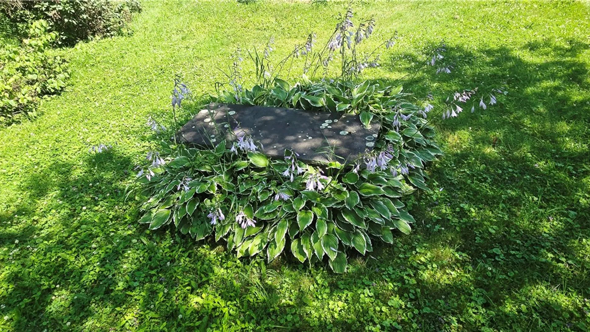 Property at 109 Westkill Road, Jefferson, NY 12093 31