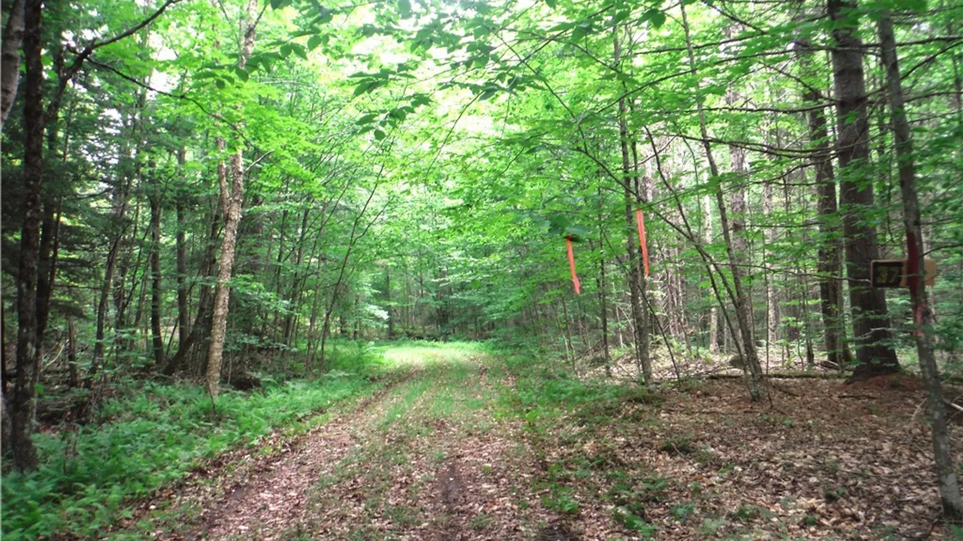 Property at 00 Barnes Road, Forestport, NY 13338 10