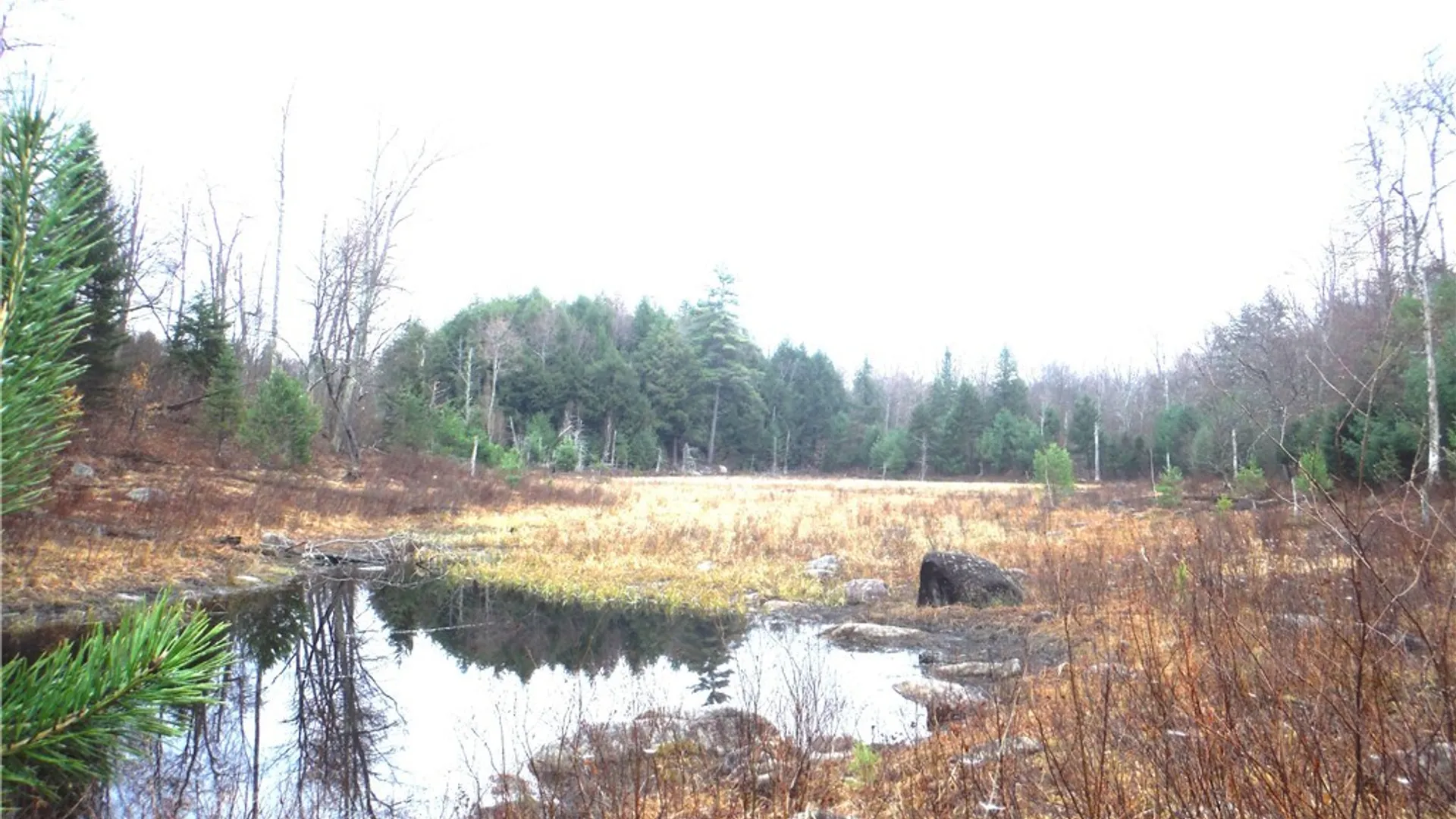 Property at 00 Barnes Road, Forestport, NY 13338 12