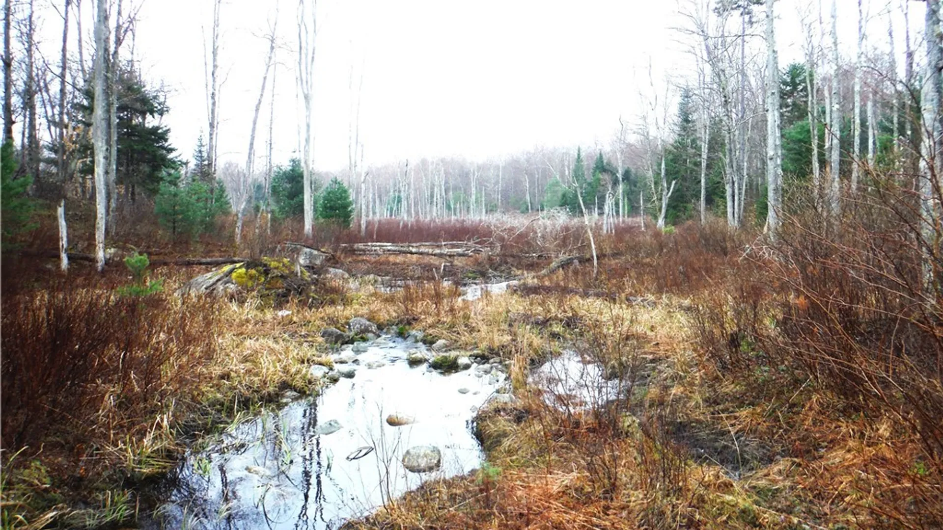 Property at 00 Barnes Road, Forestport, NY 13338 15