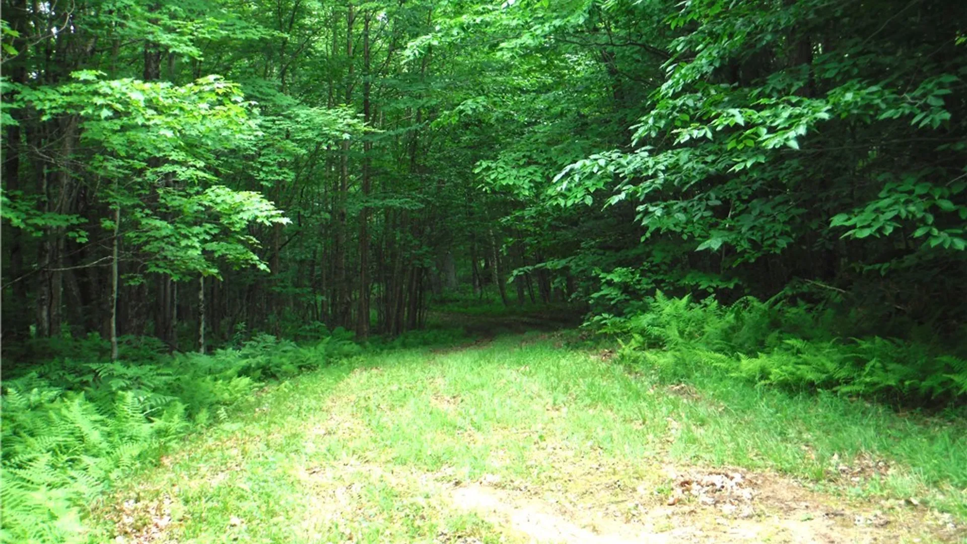 Property at 00 Barnes Road, Forestport, NY 13338 7