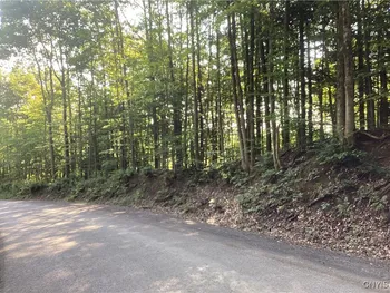 Smith Hill Road, Deerfield, NY 13502