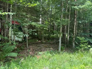 Property at 261 Uncas Road, Inlet, NY 13360