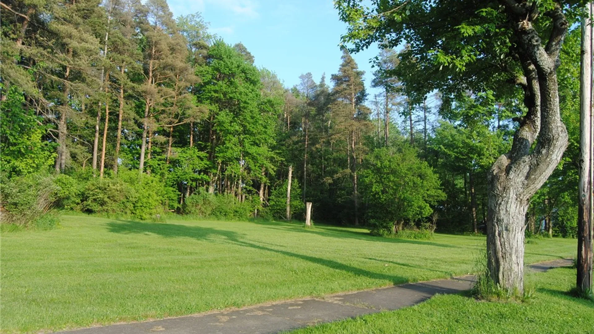 Property at 536 Park Avenue, Kane Boro, PA 16735 3
