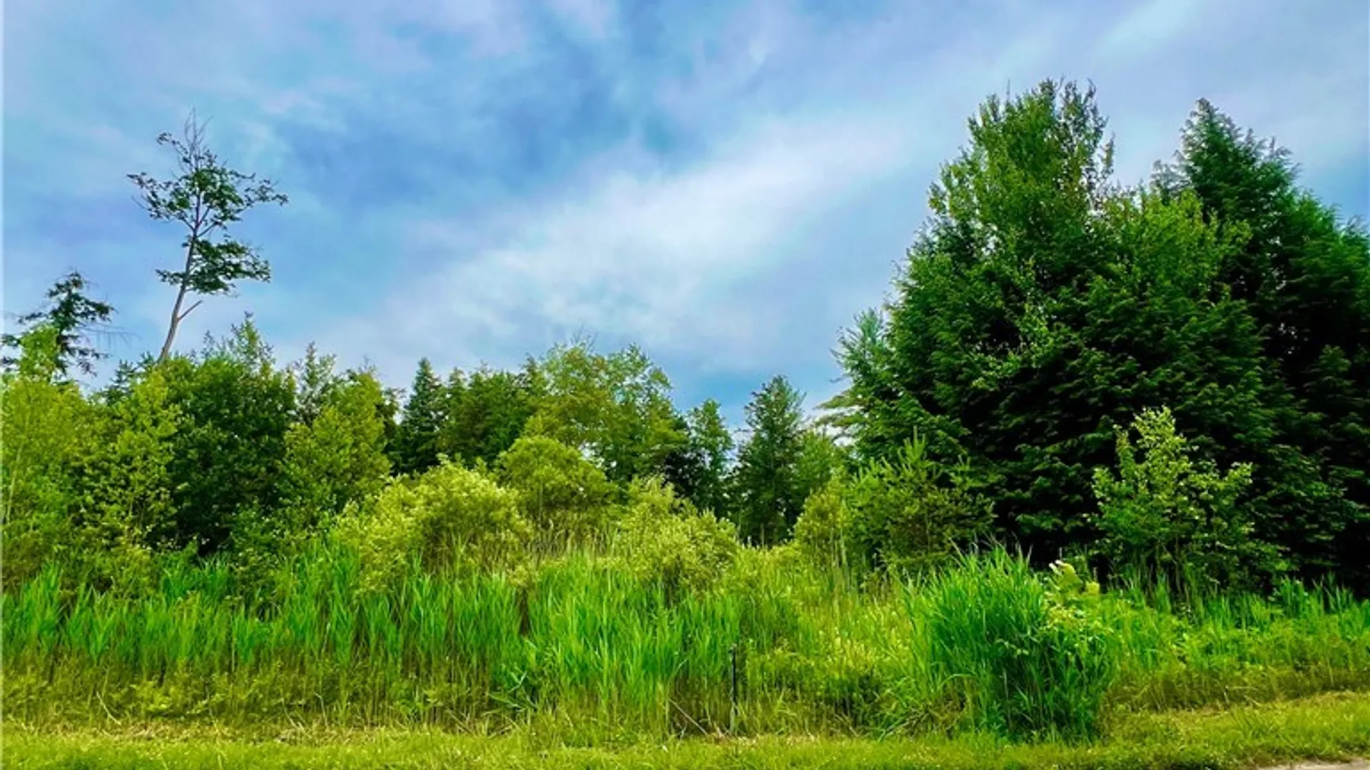Property at Lot 6 Forest Ridge Drive, Rome, NY 13440 2