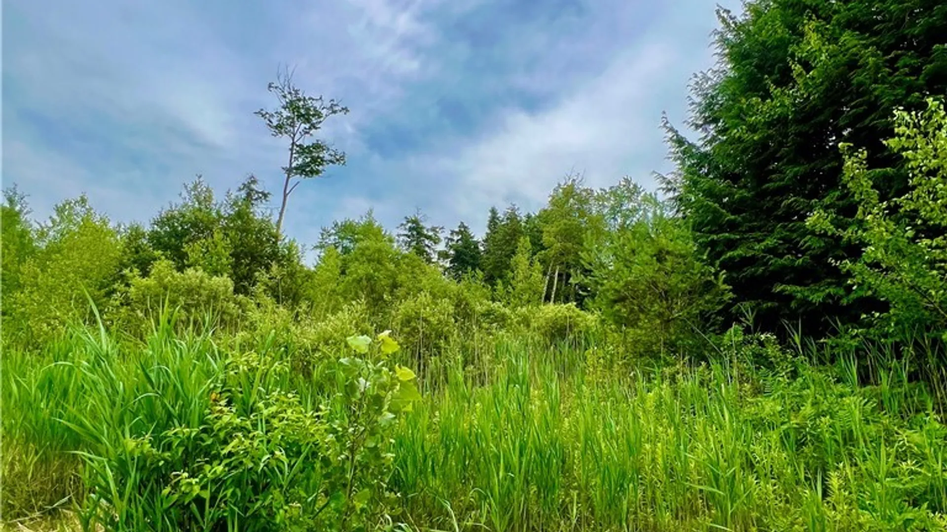 Property at Lot 6 Forest Ridge Drive, Rome, NY 13440 5