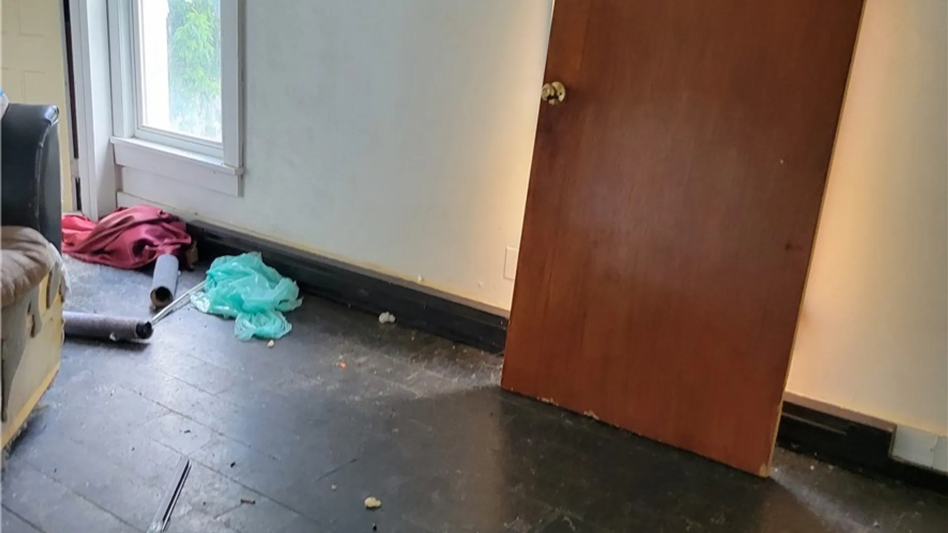 Property at 9512 Church Street, Denmark, NY 13620 18