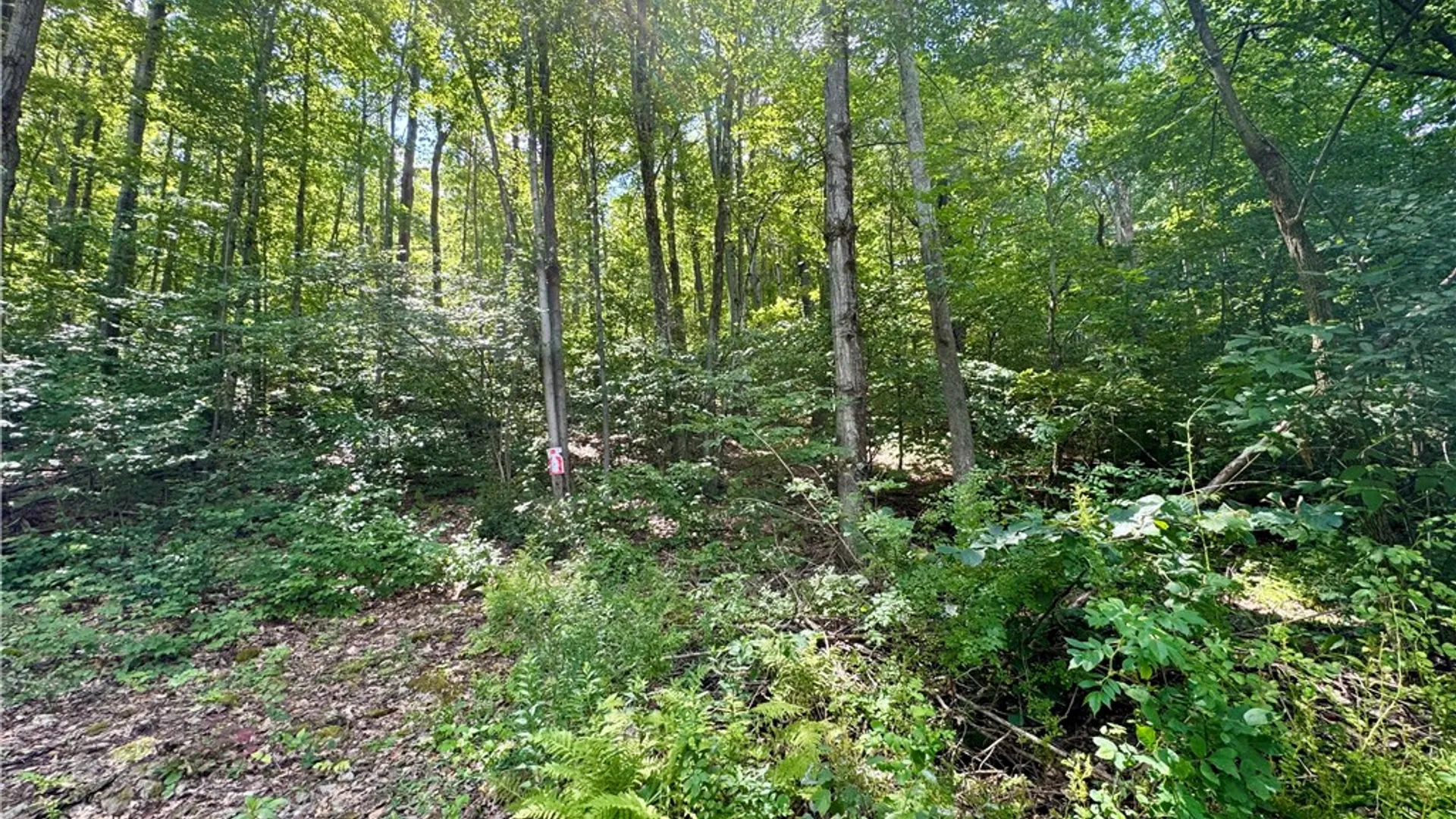Property at 0 Breed Hollow Road, Catlin, NY 14830 2
